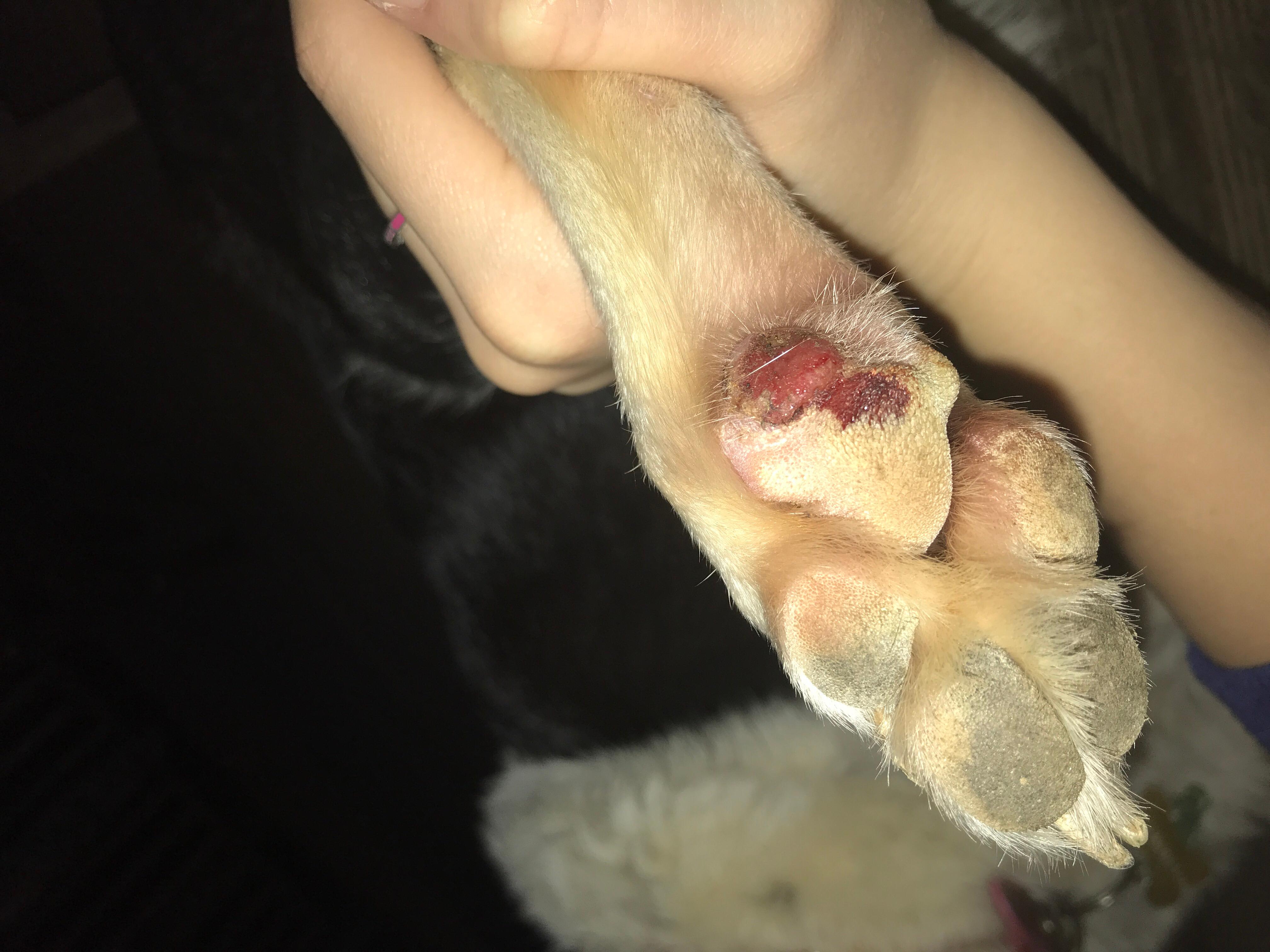 Question details sensitive content