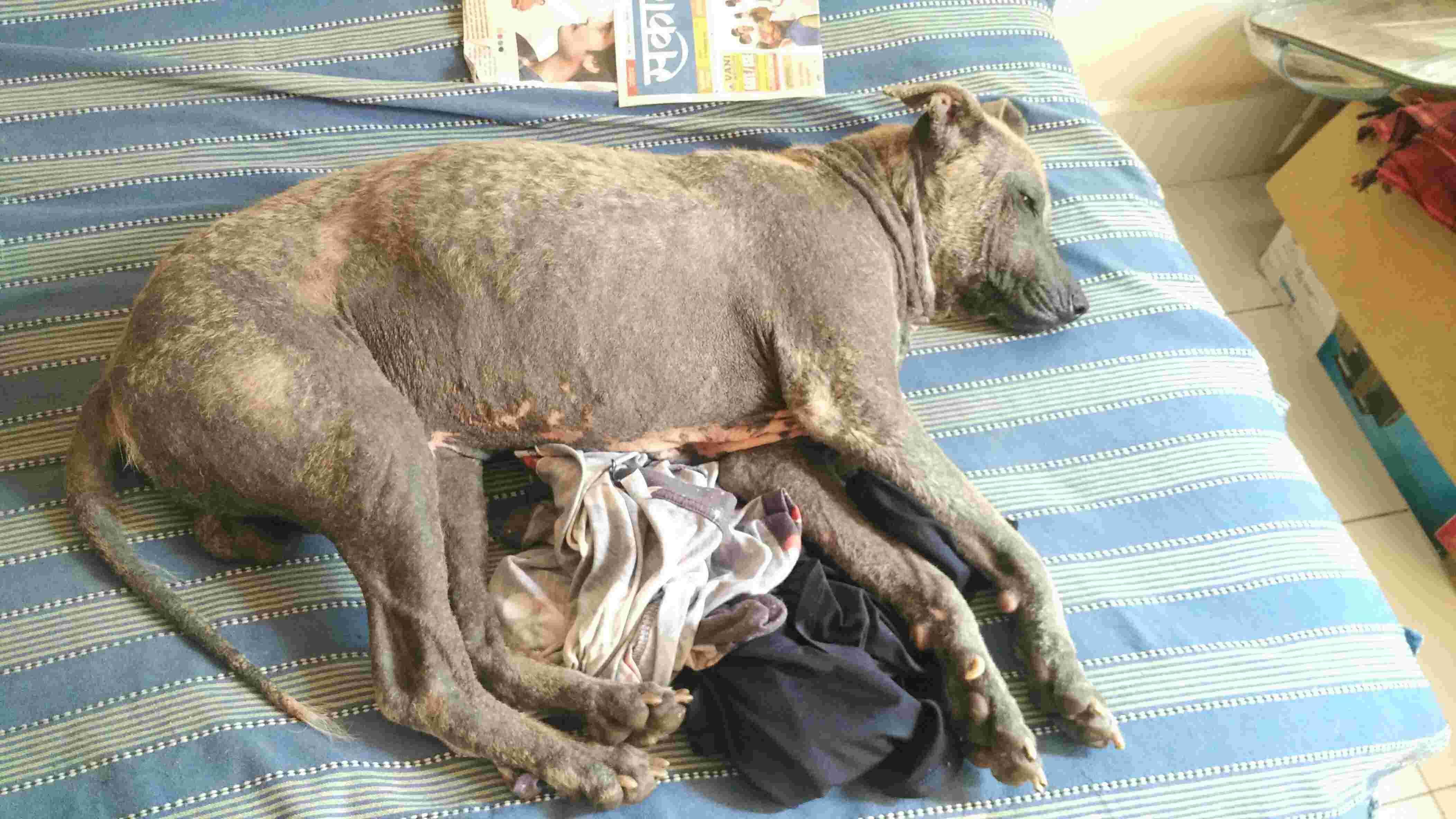 Question details sensitive content