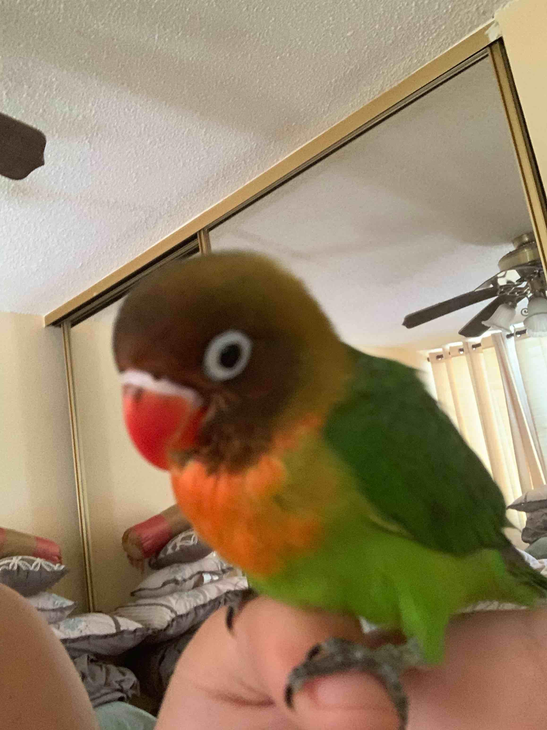 Question details sensitive content