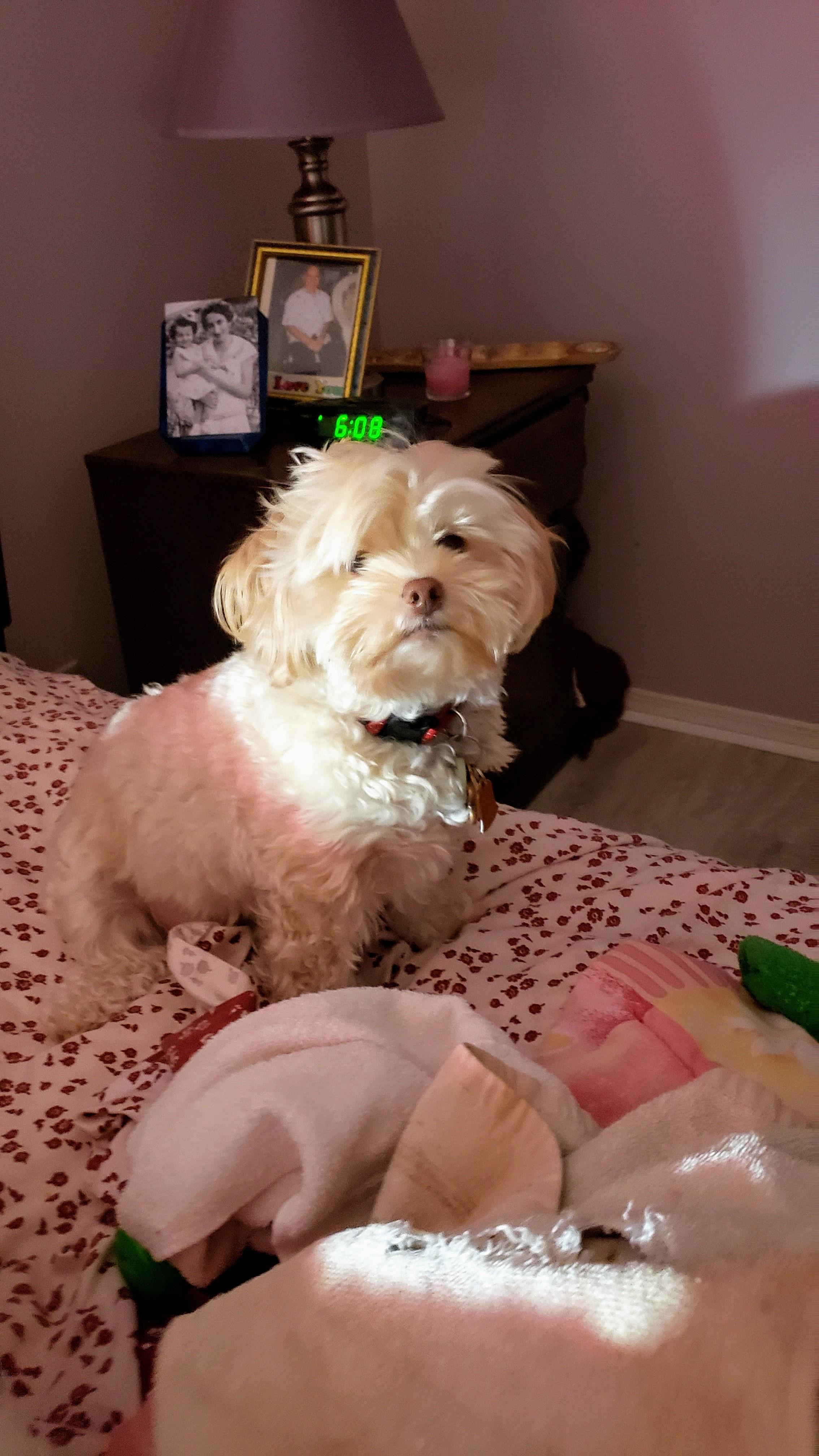 Question details sensitive content