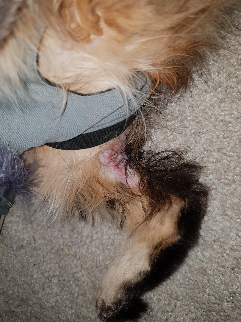 Question details sensitive content