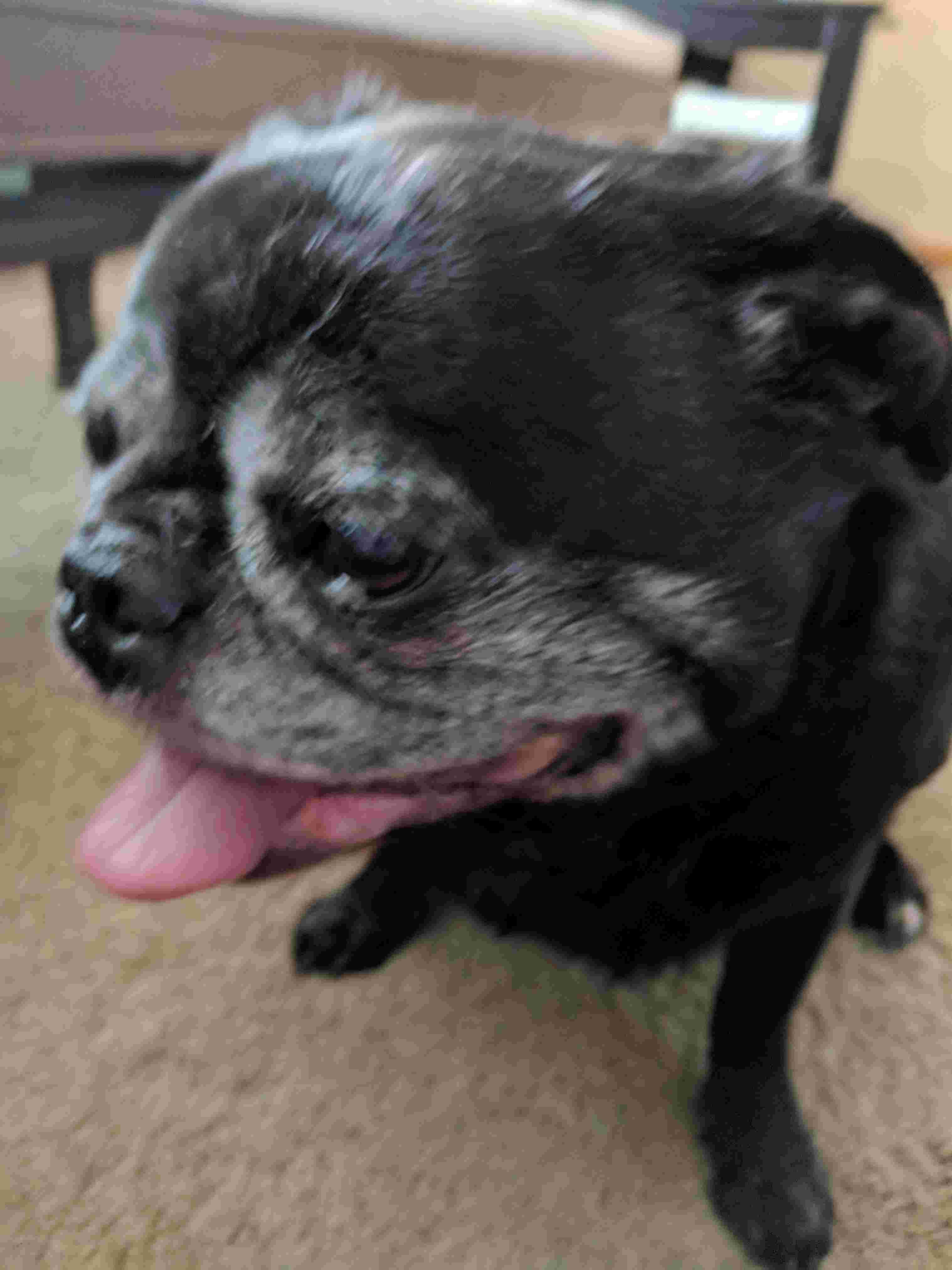 Question details sensitive content