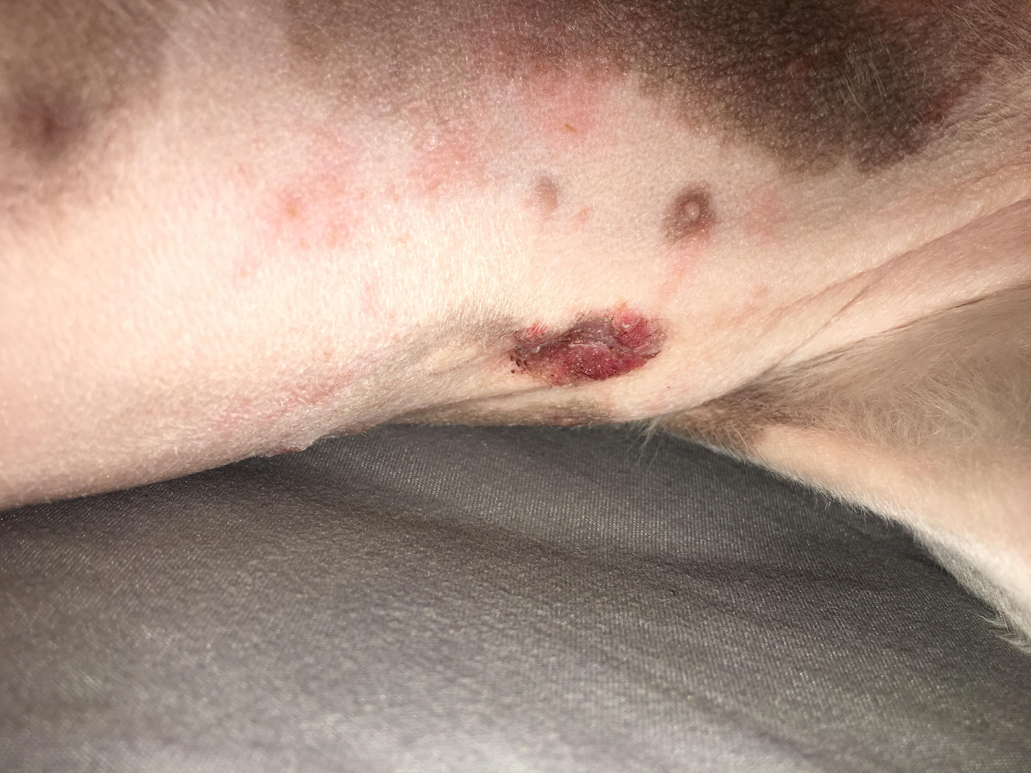 Question details sensitive content