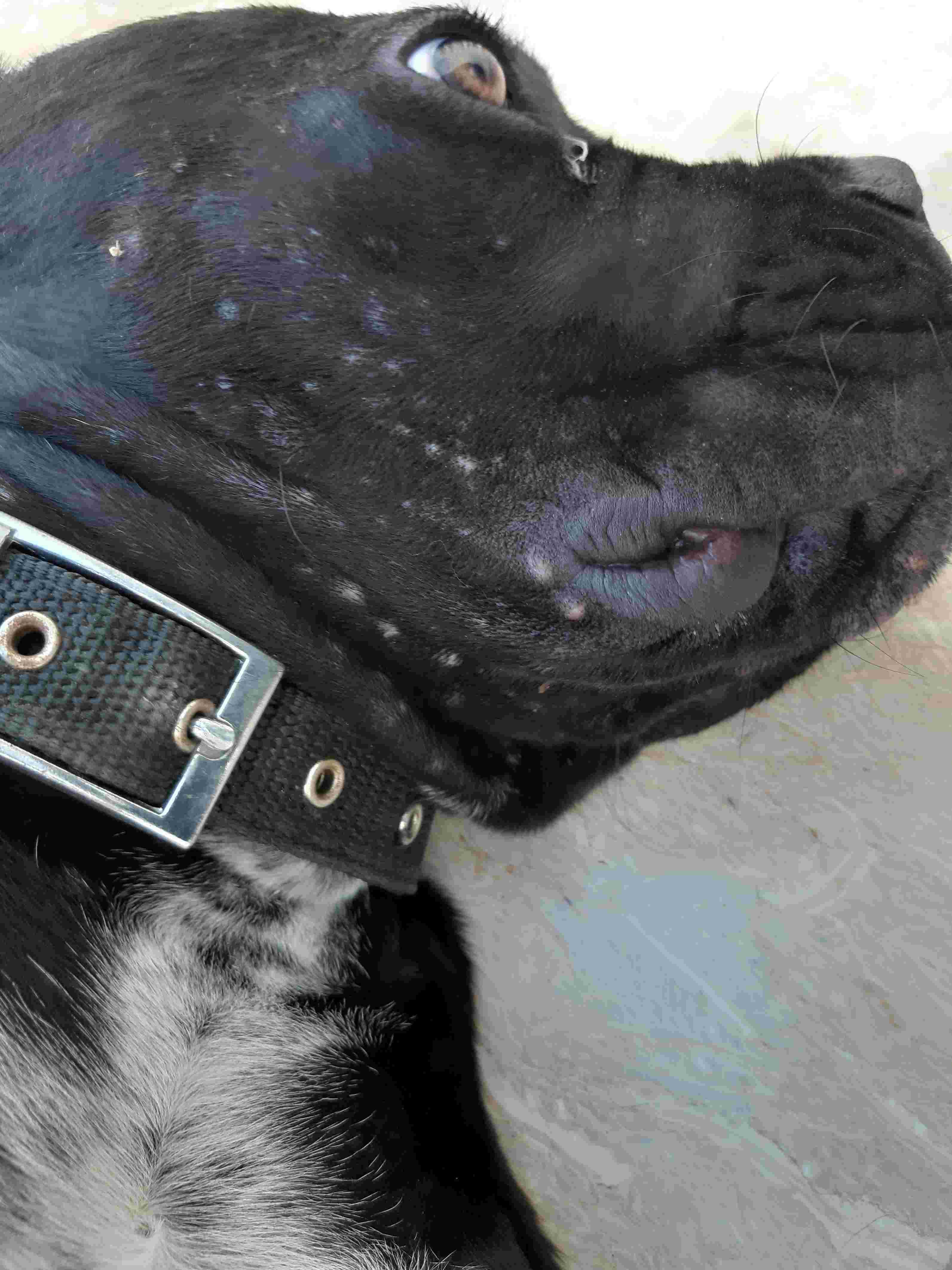 Question details sensitive content