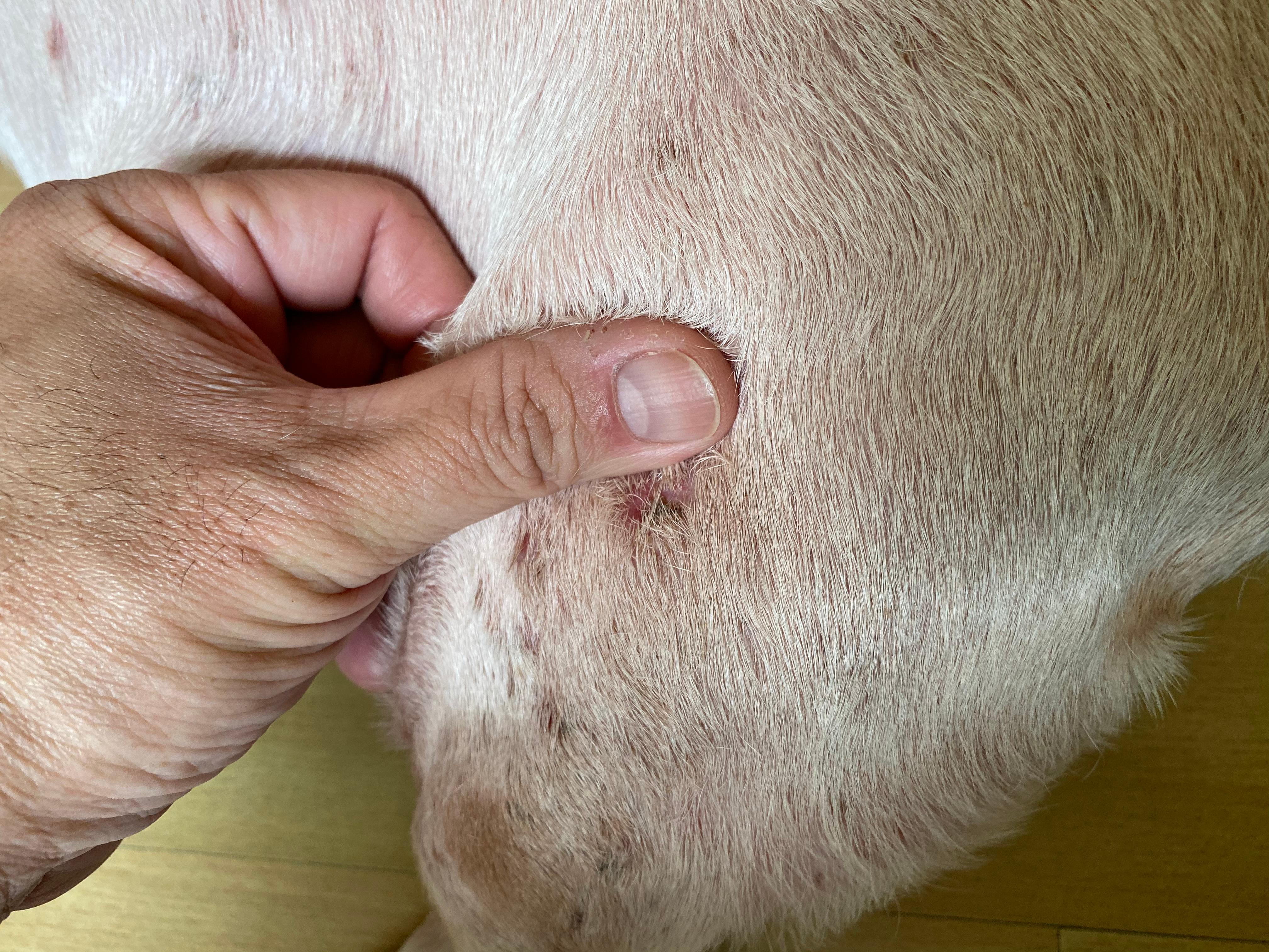 Question details sensitive content