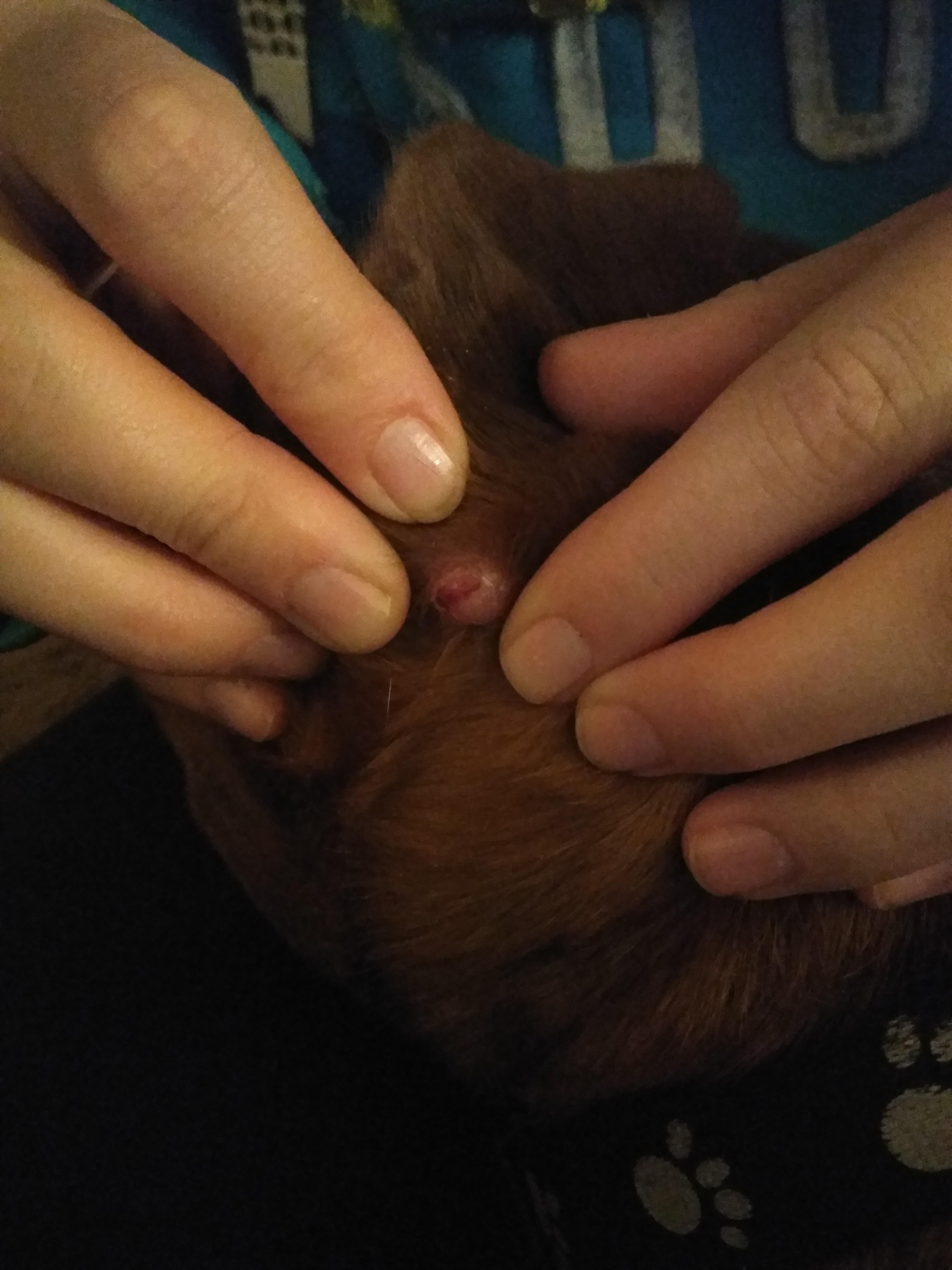 Question details sensitive content