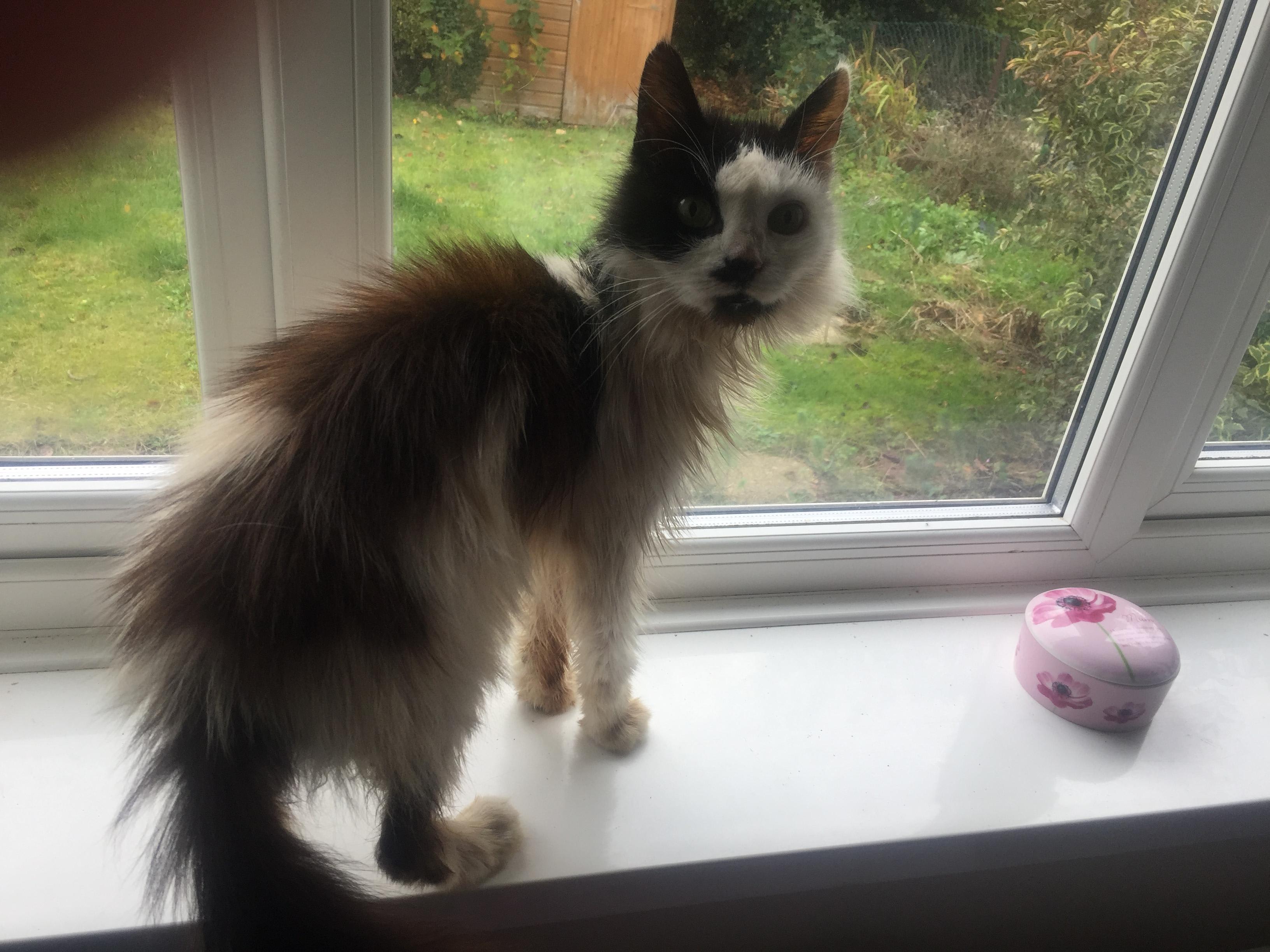 Question details sensitive content