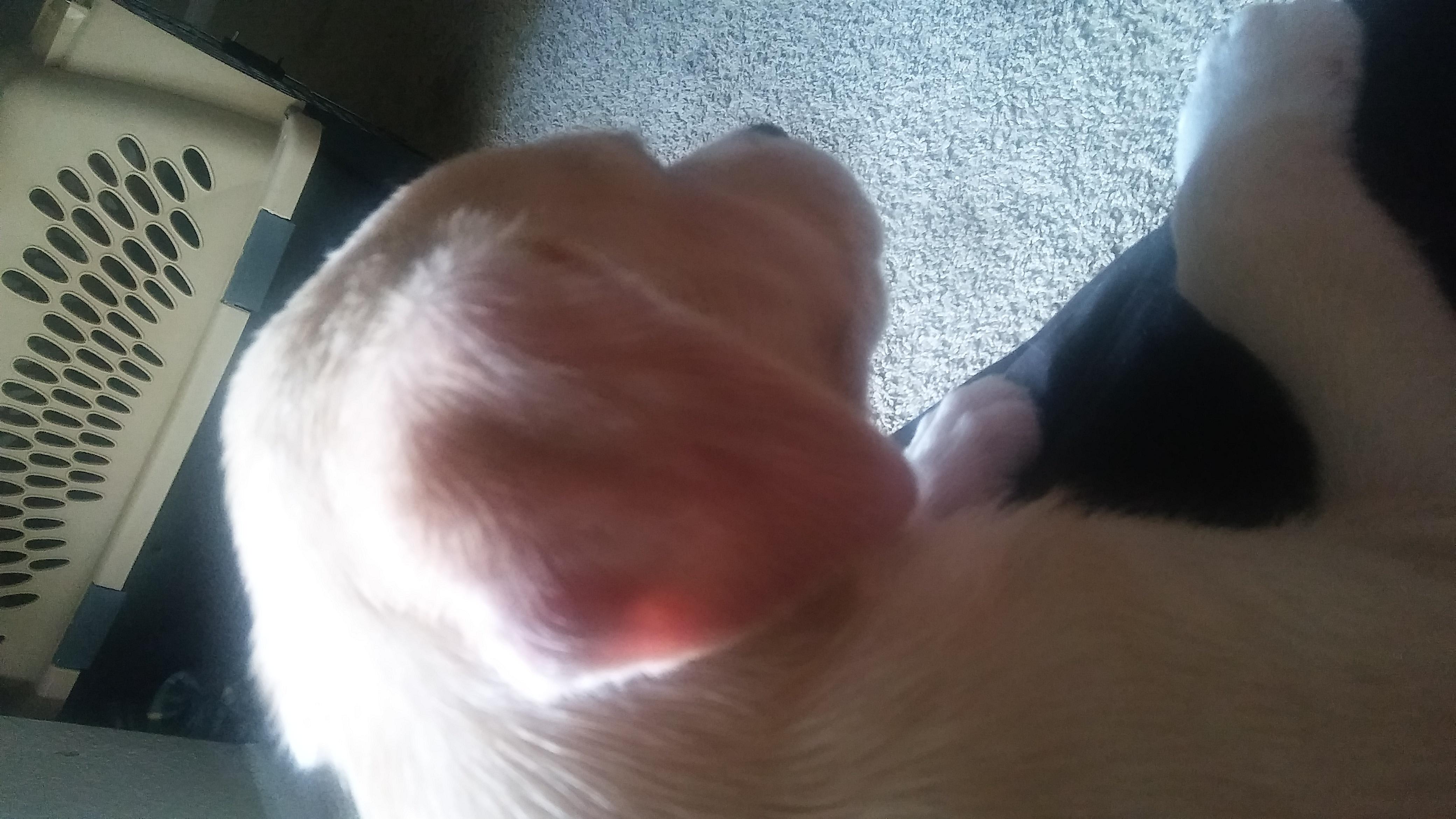 Question details sensitive content