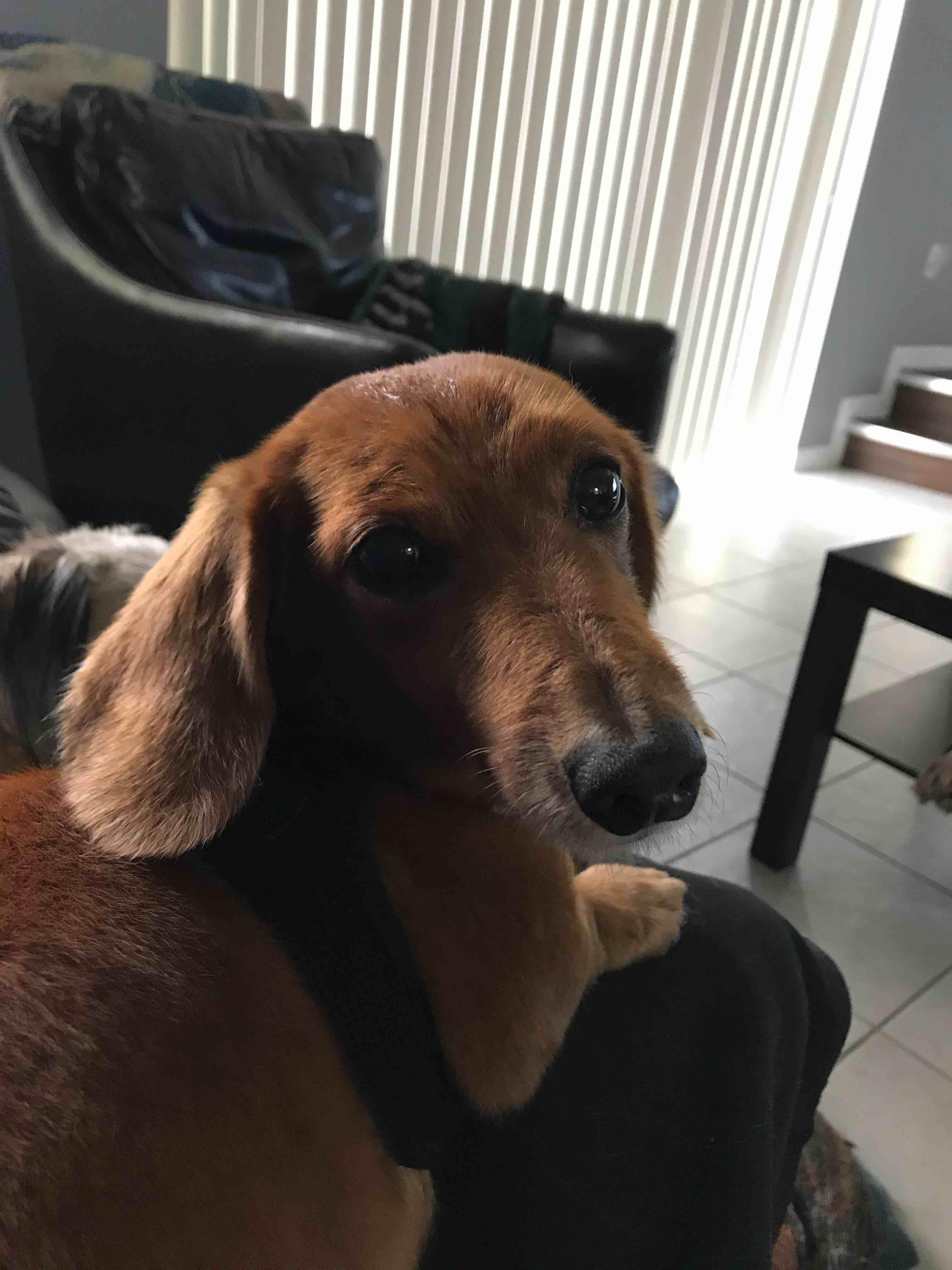 Question details sensitive content