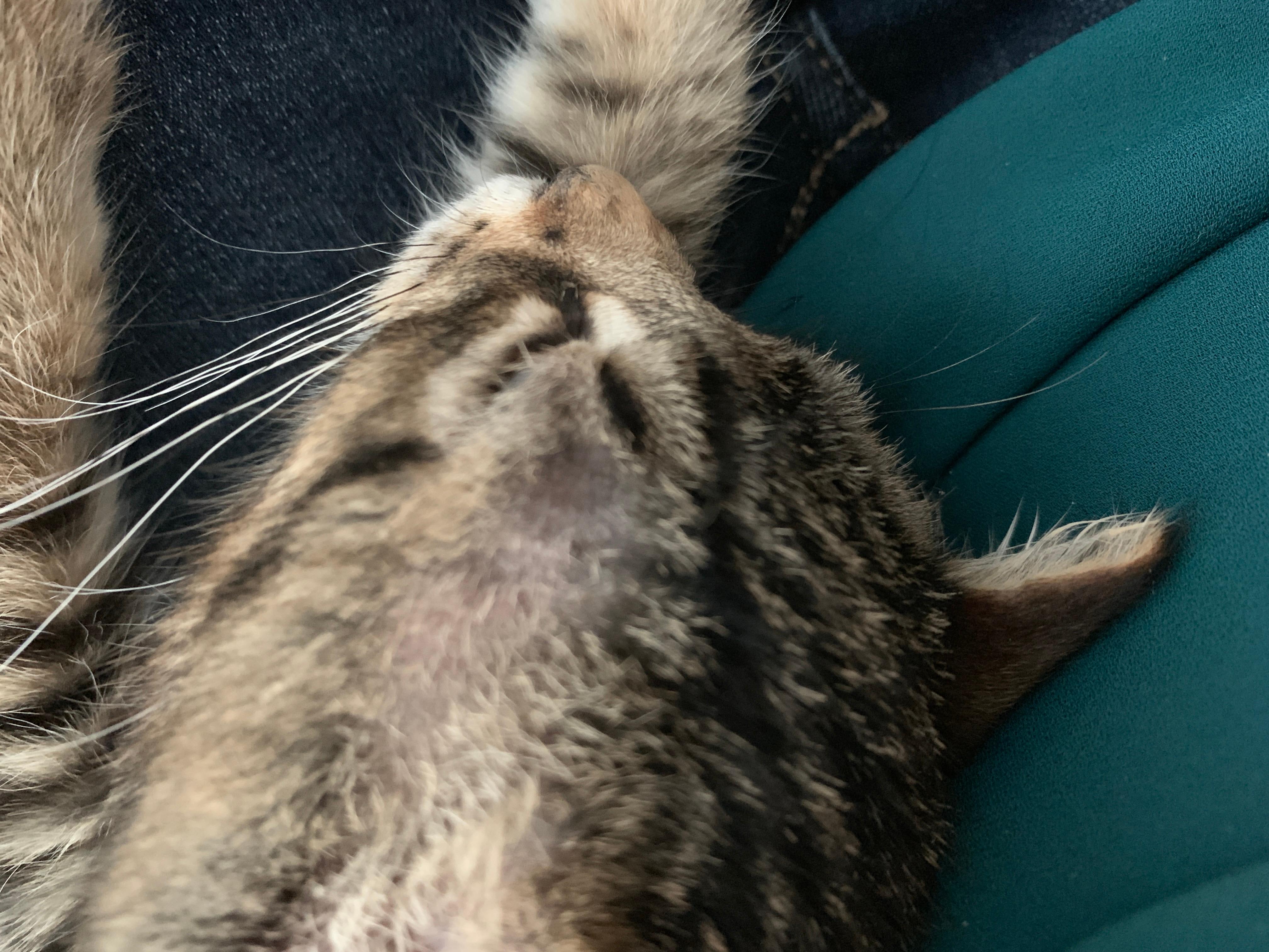 Question details sensitive content