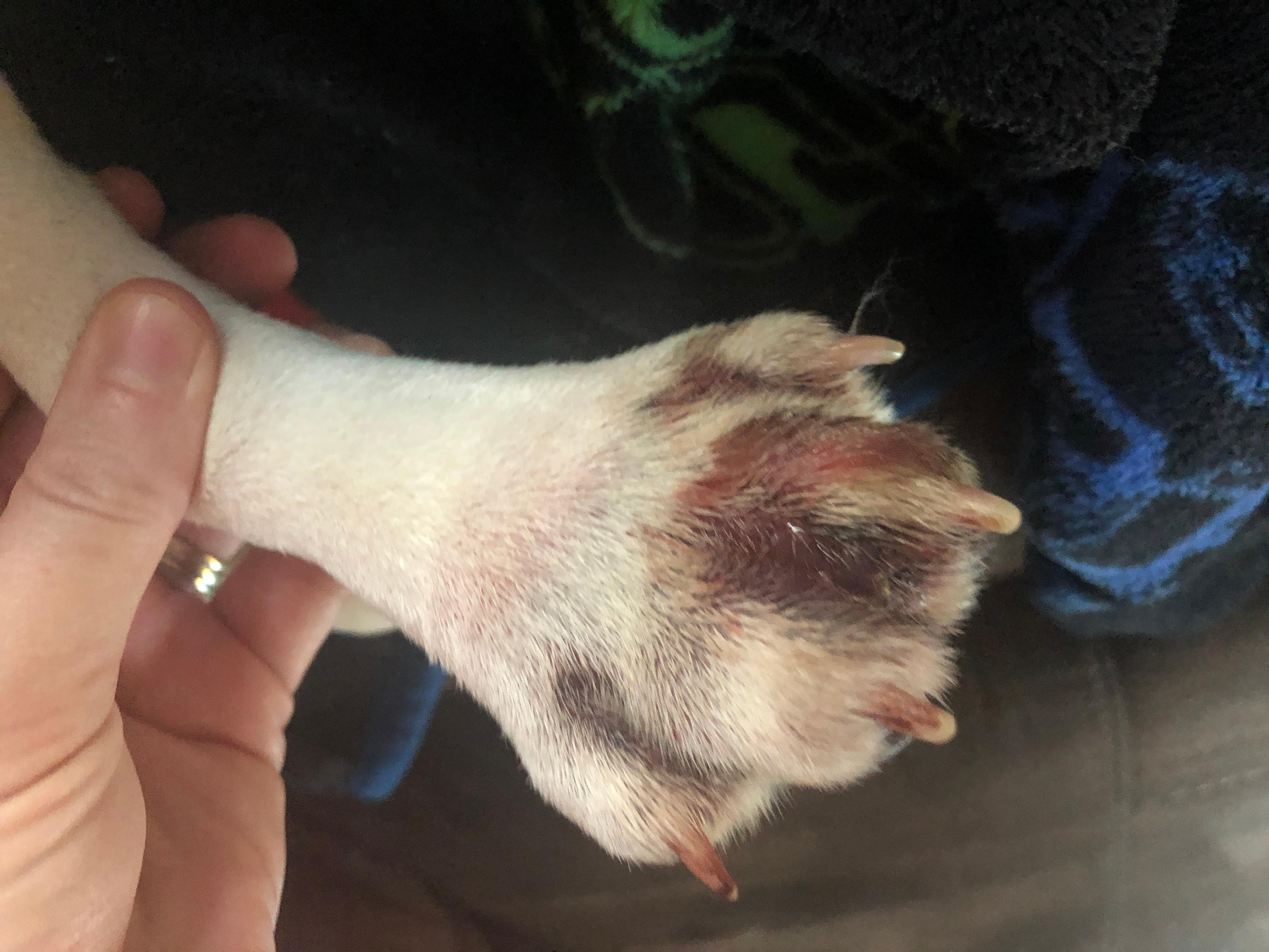 Question details sensitive content