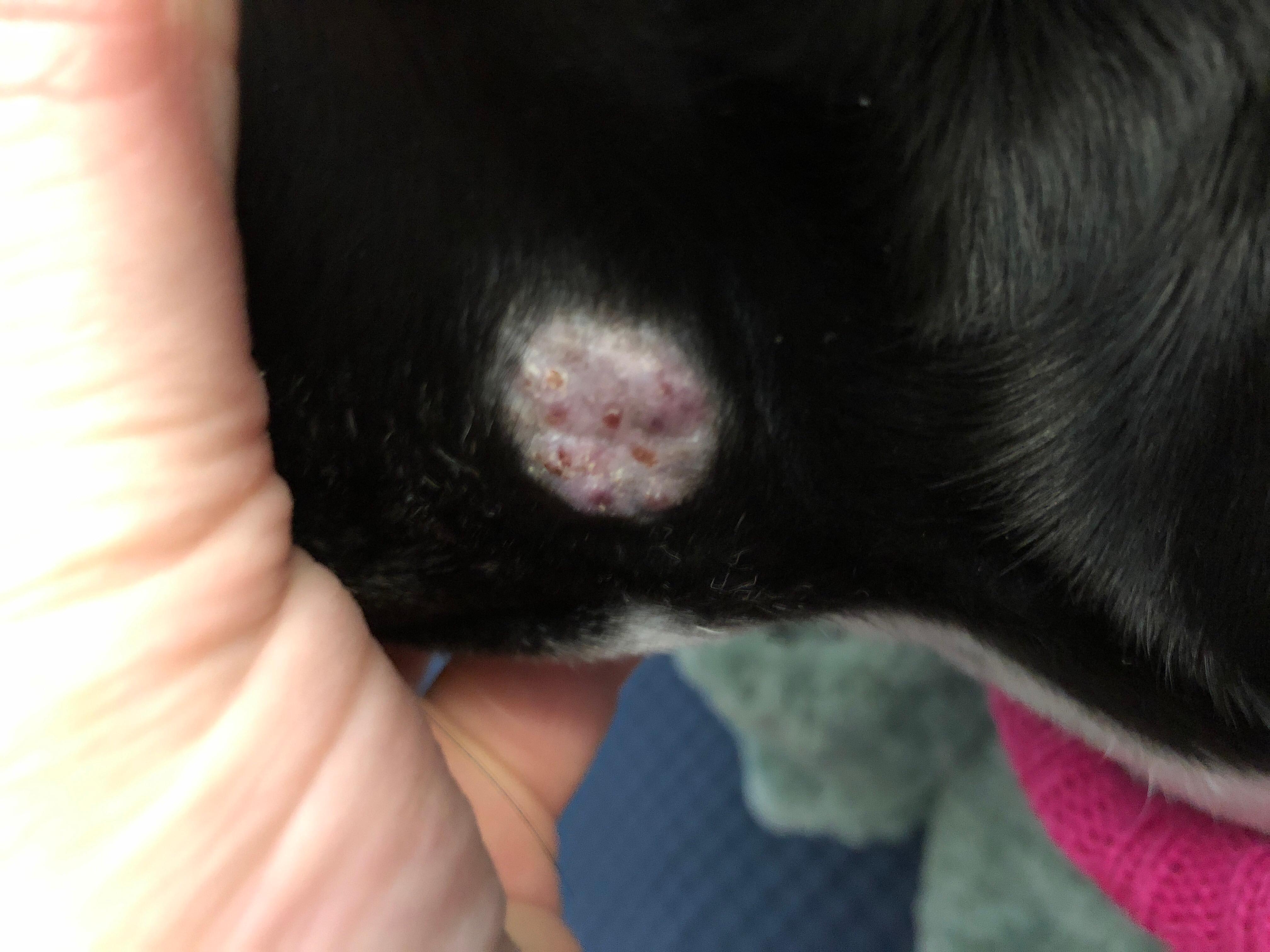 Question details sensitive content