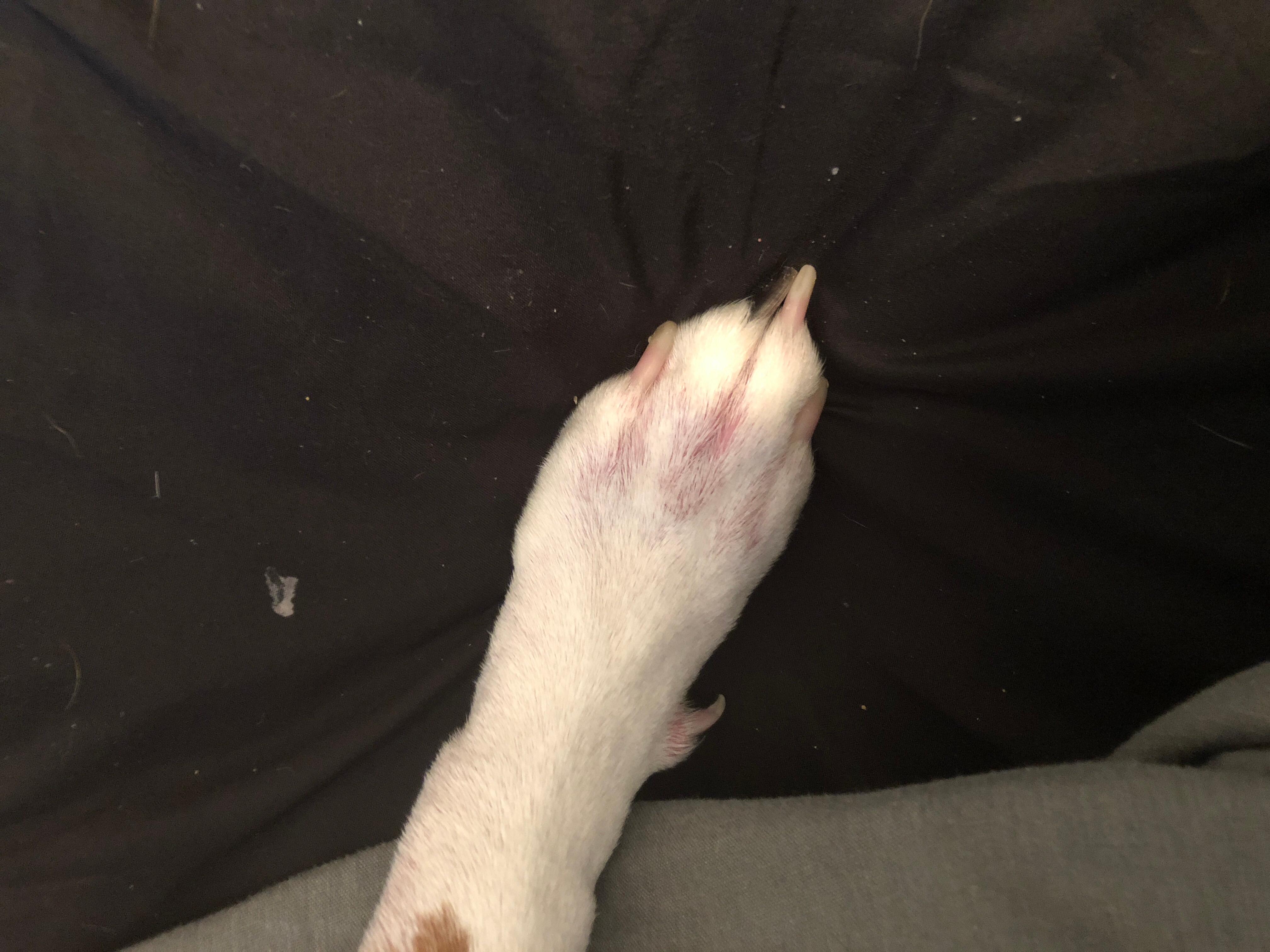 Question details sensitive content