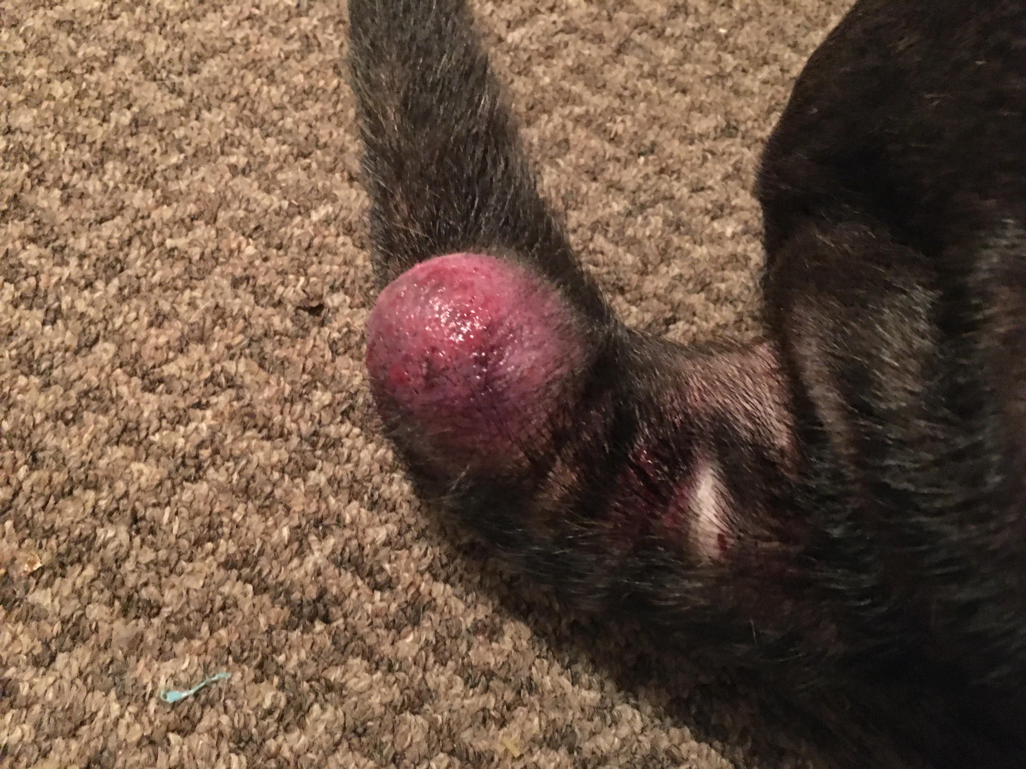 Question details sensitive content