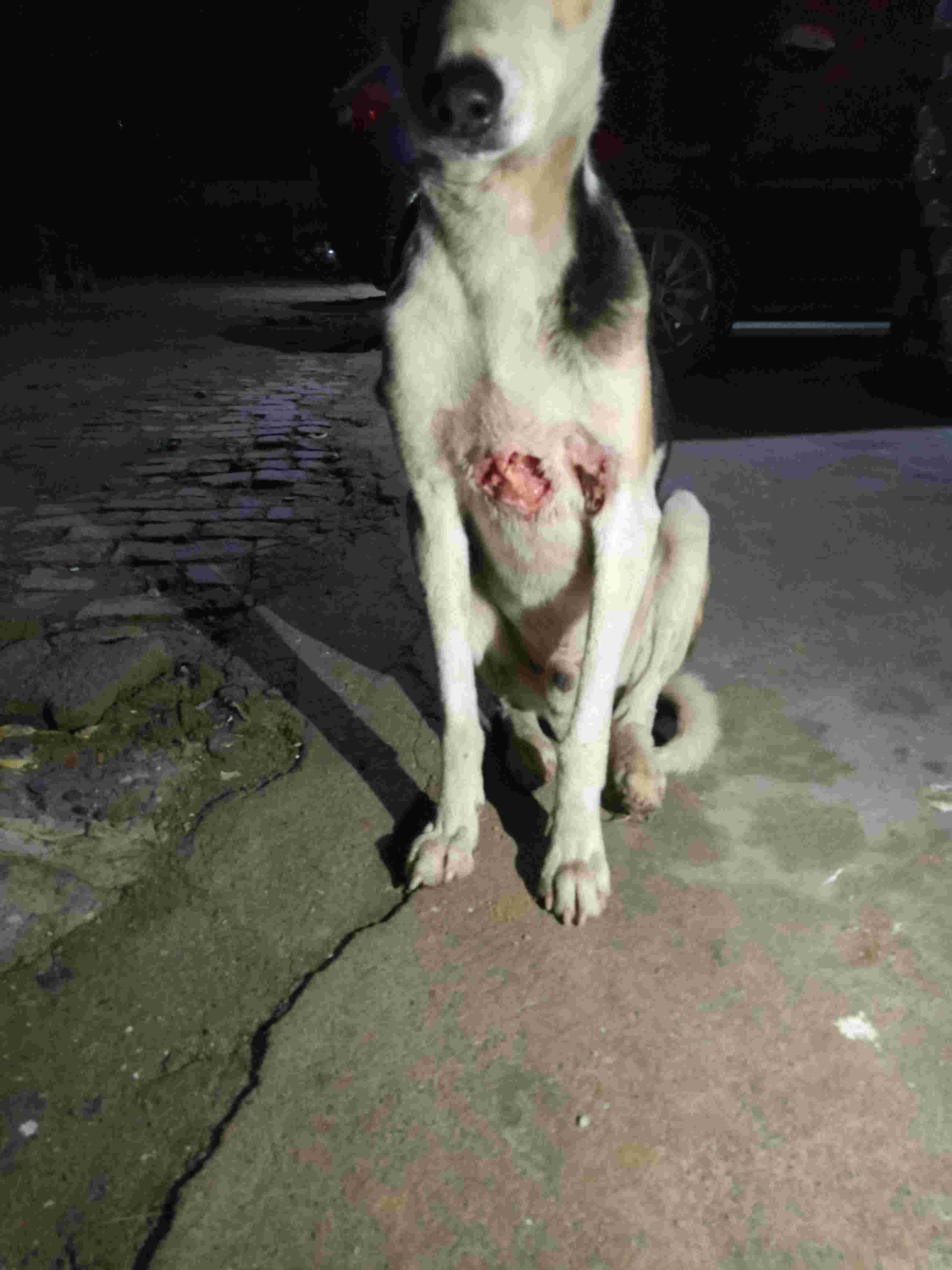 Question details sensitive content