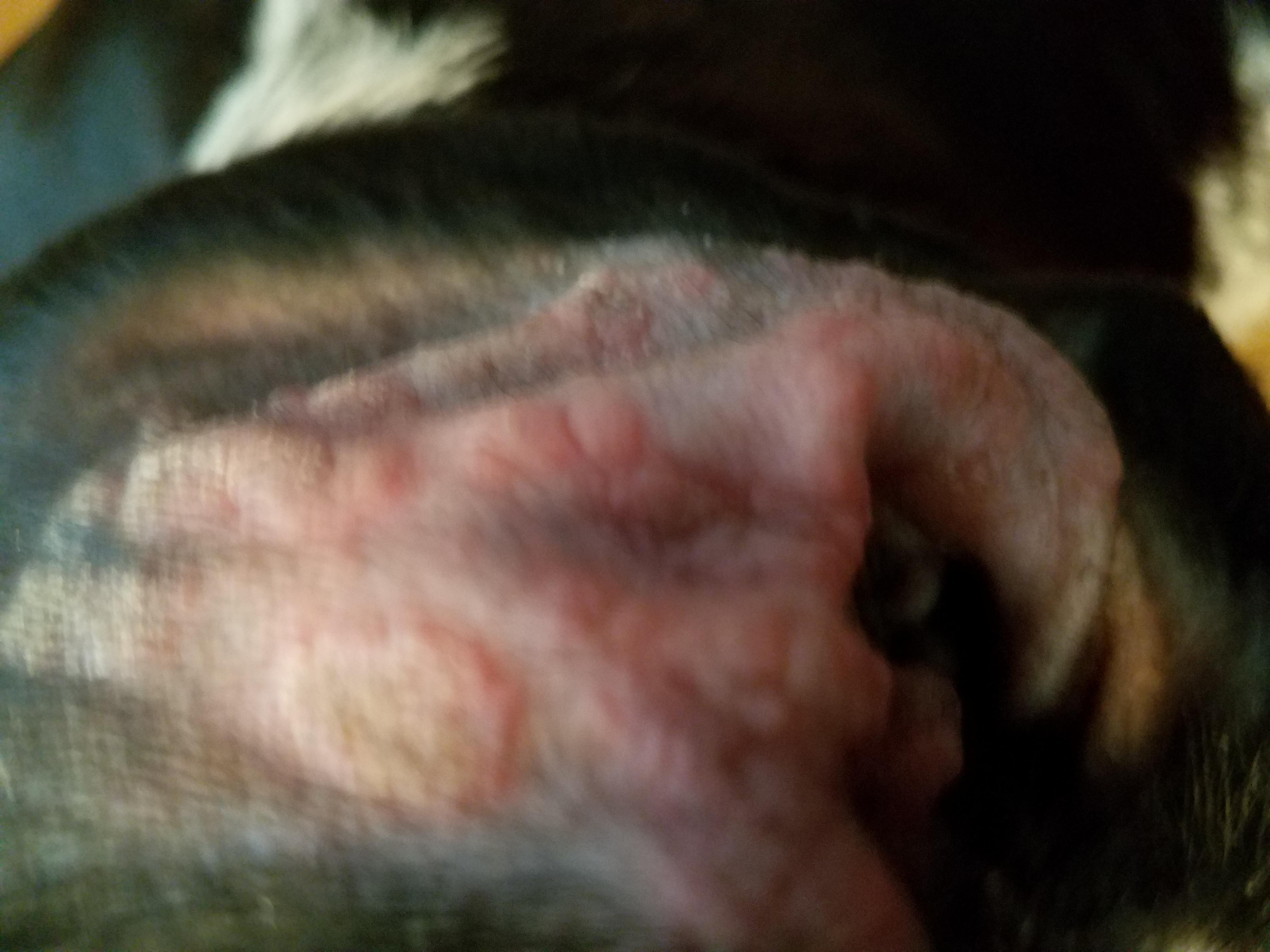 Question details sensitive content