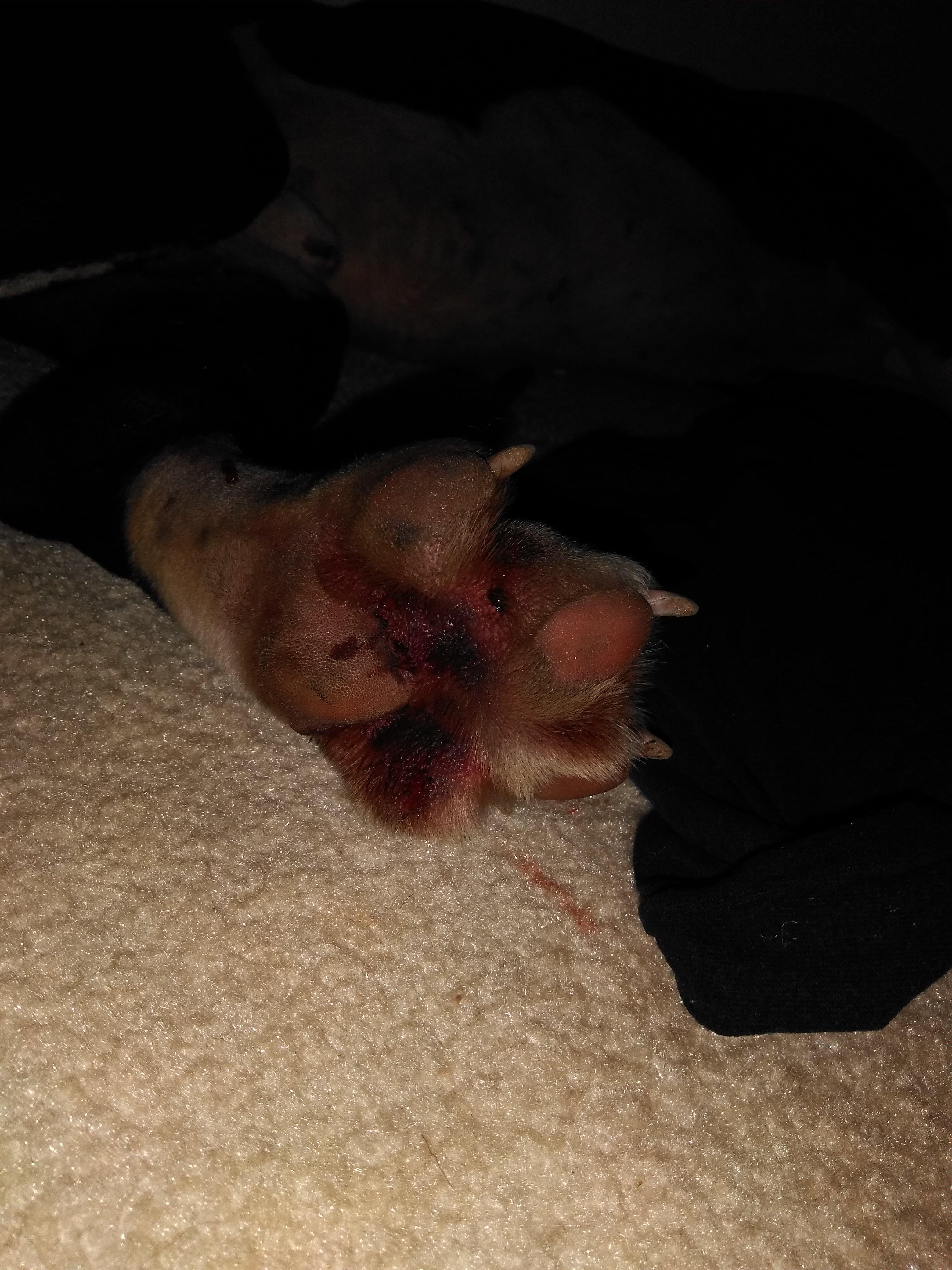 Question details sensitive content