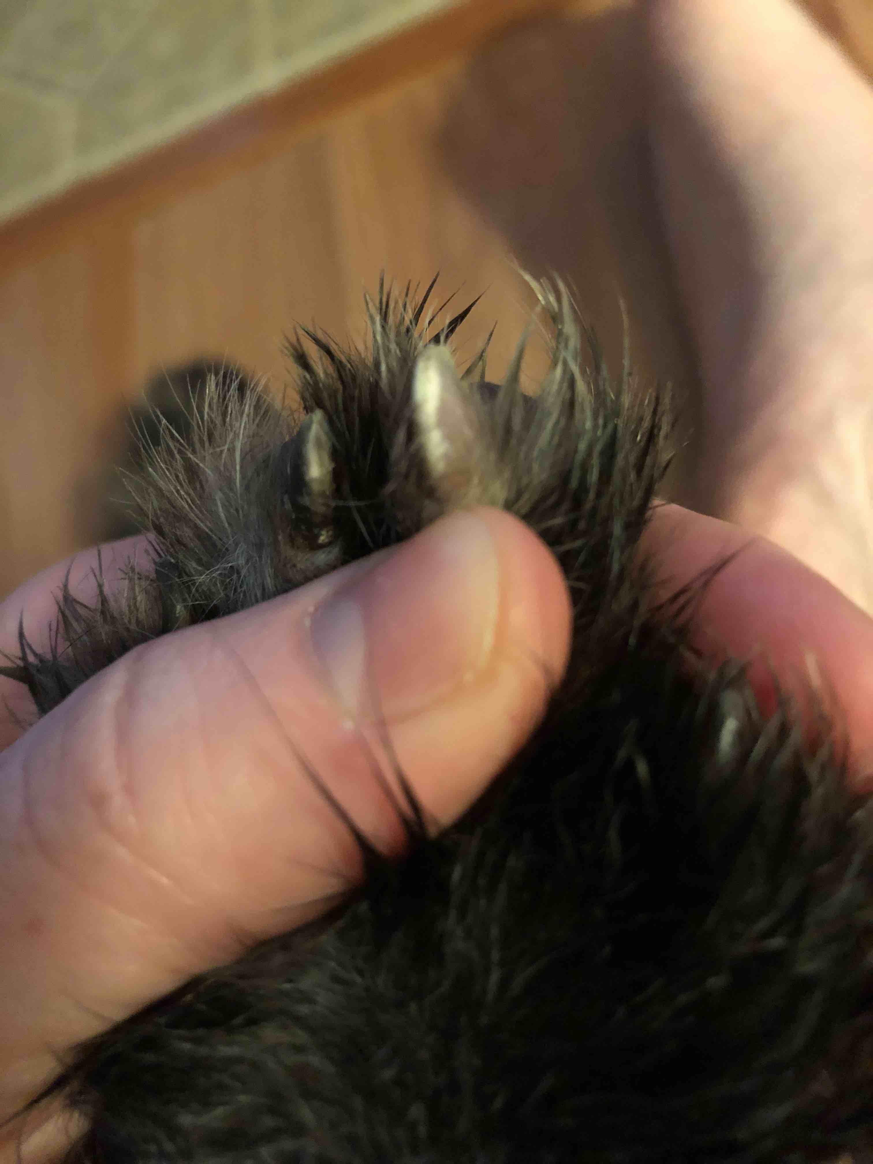 Question details sensitive content