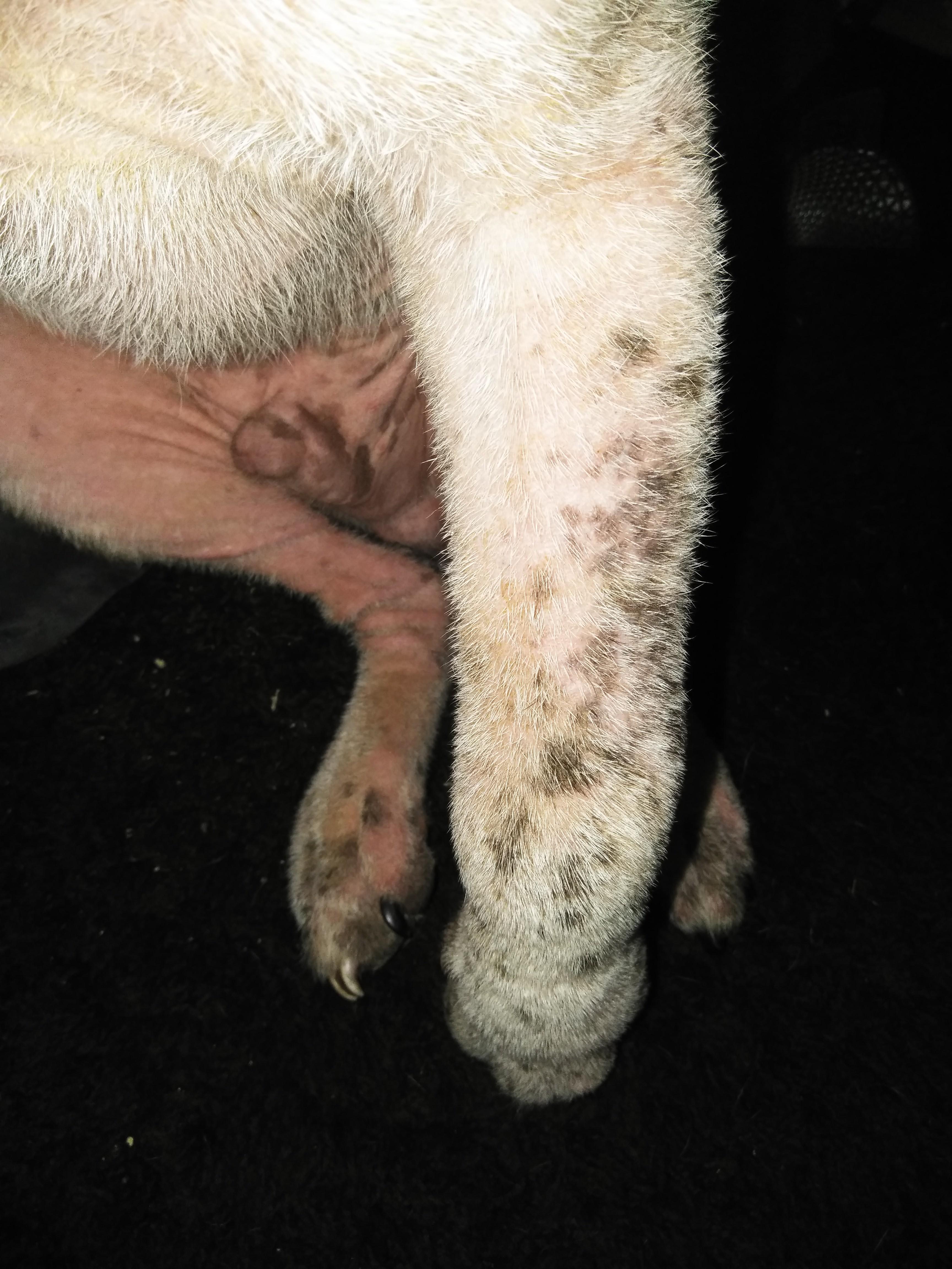 Question details sensitive content