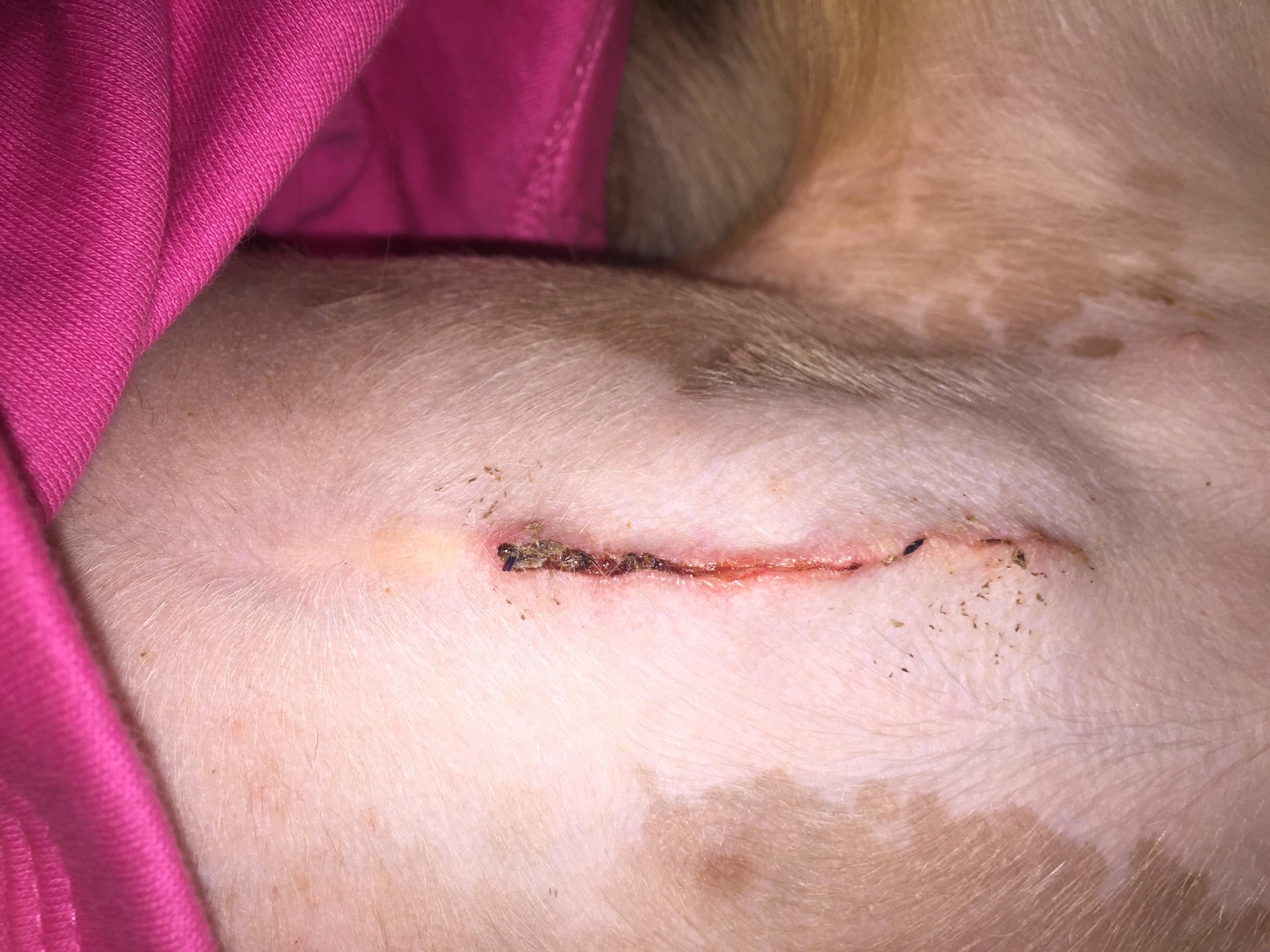 Question details sensitive content