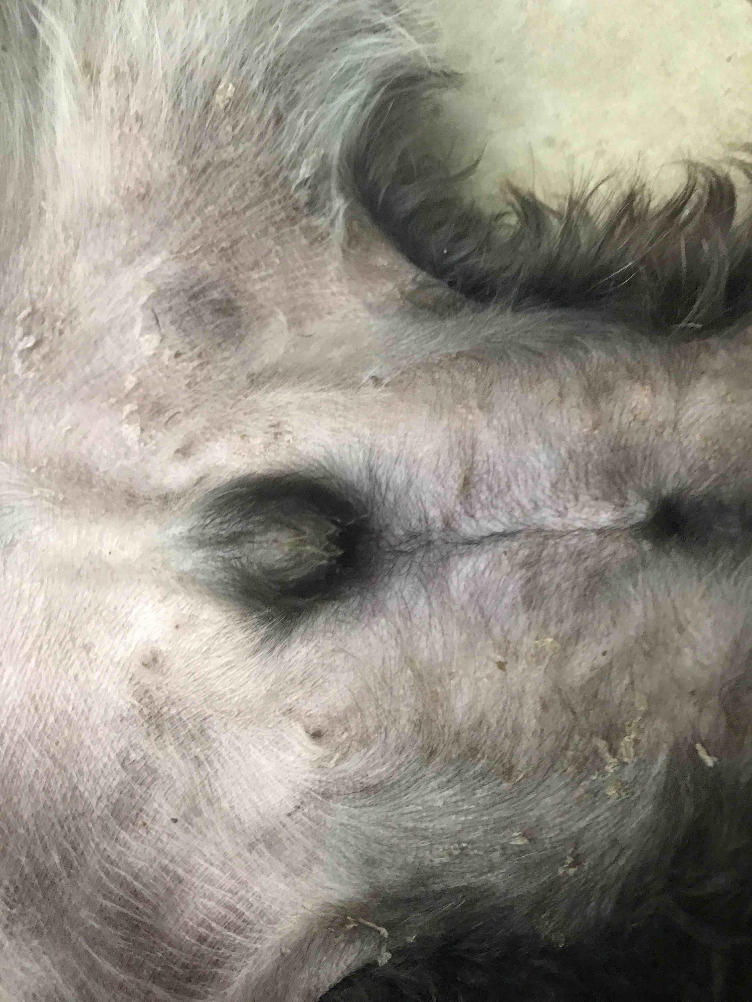 Question details sensitive content