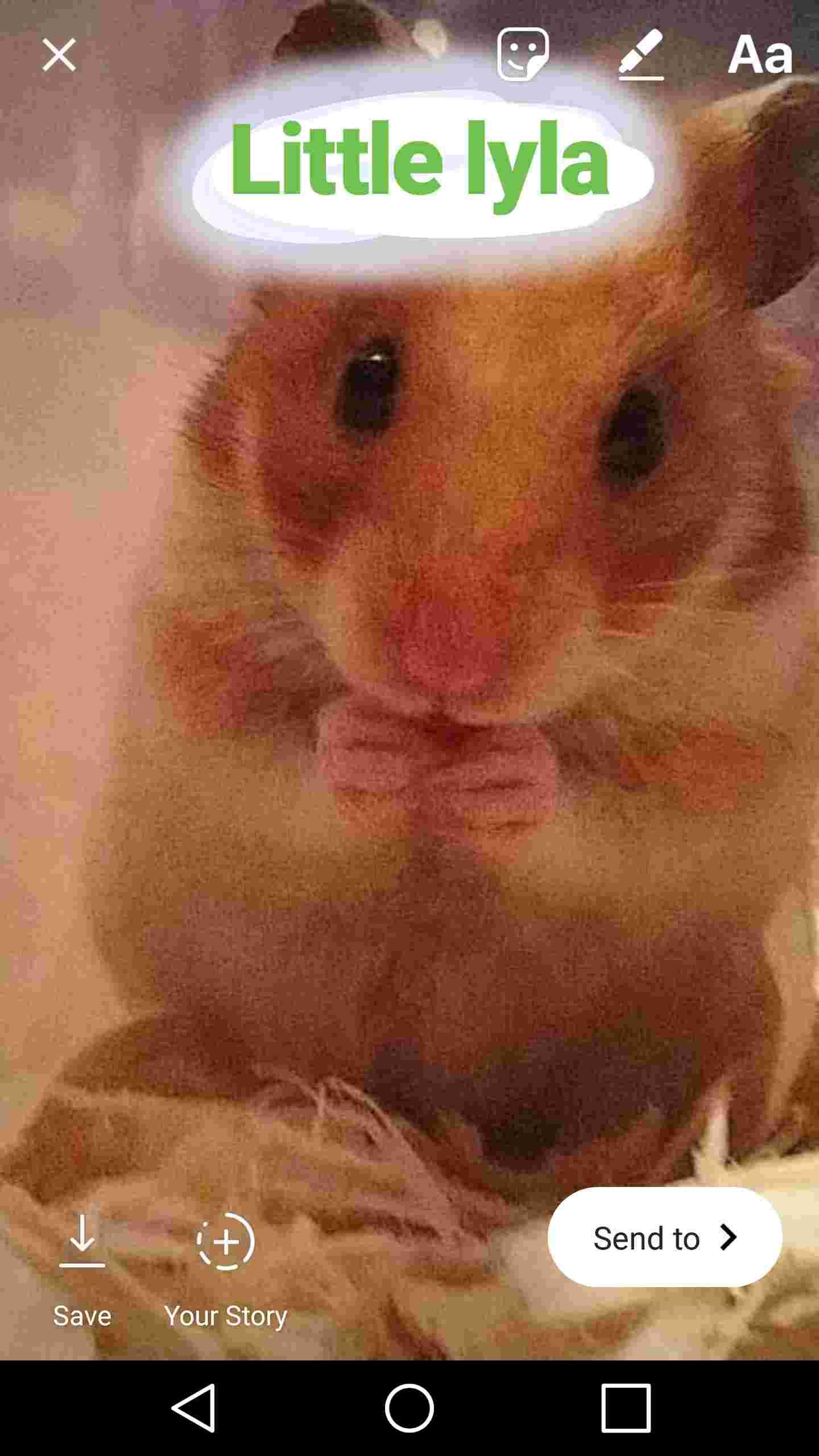 Question details sensitive content