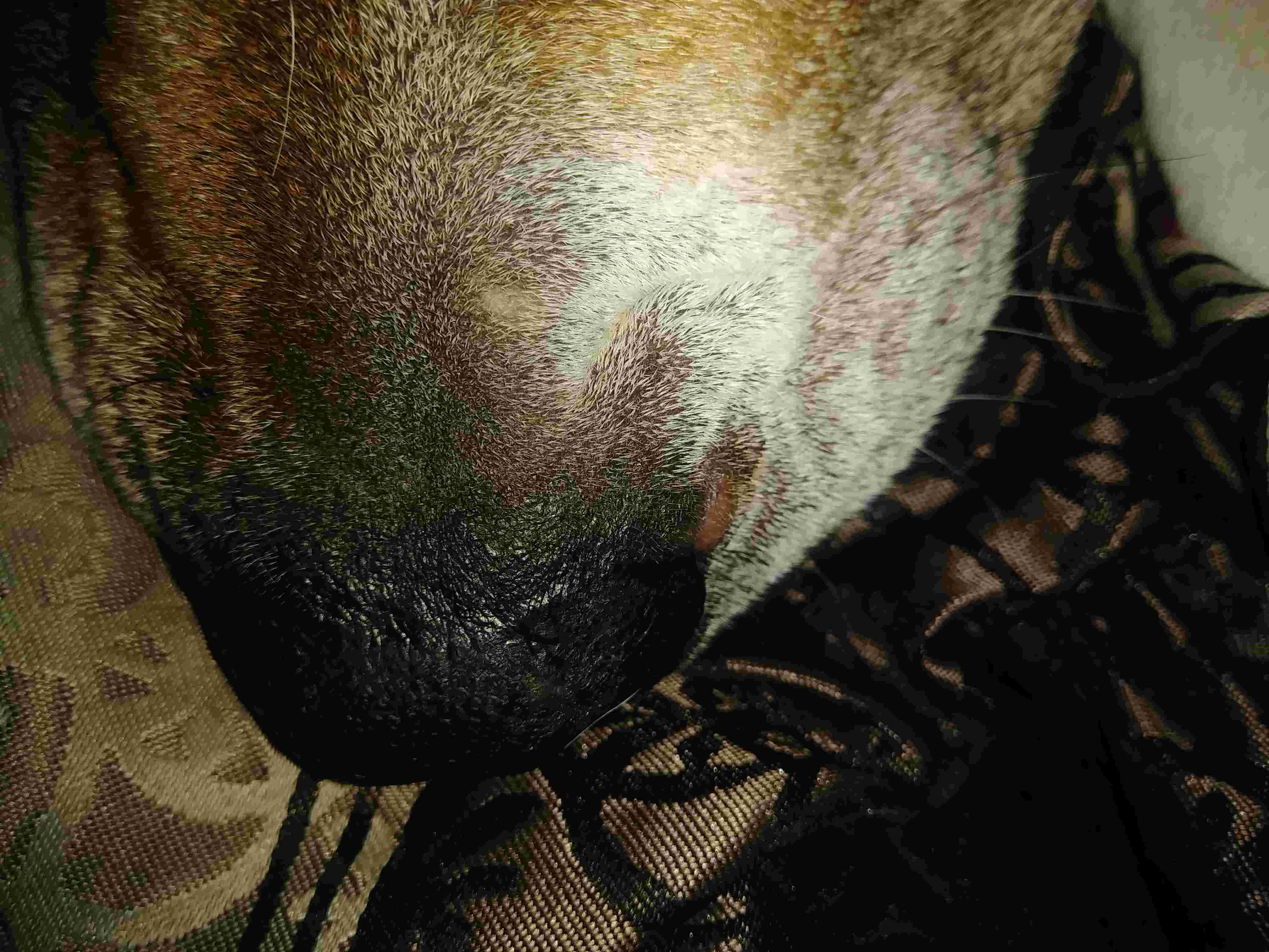 Question details sensitive content