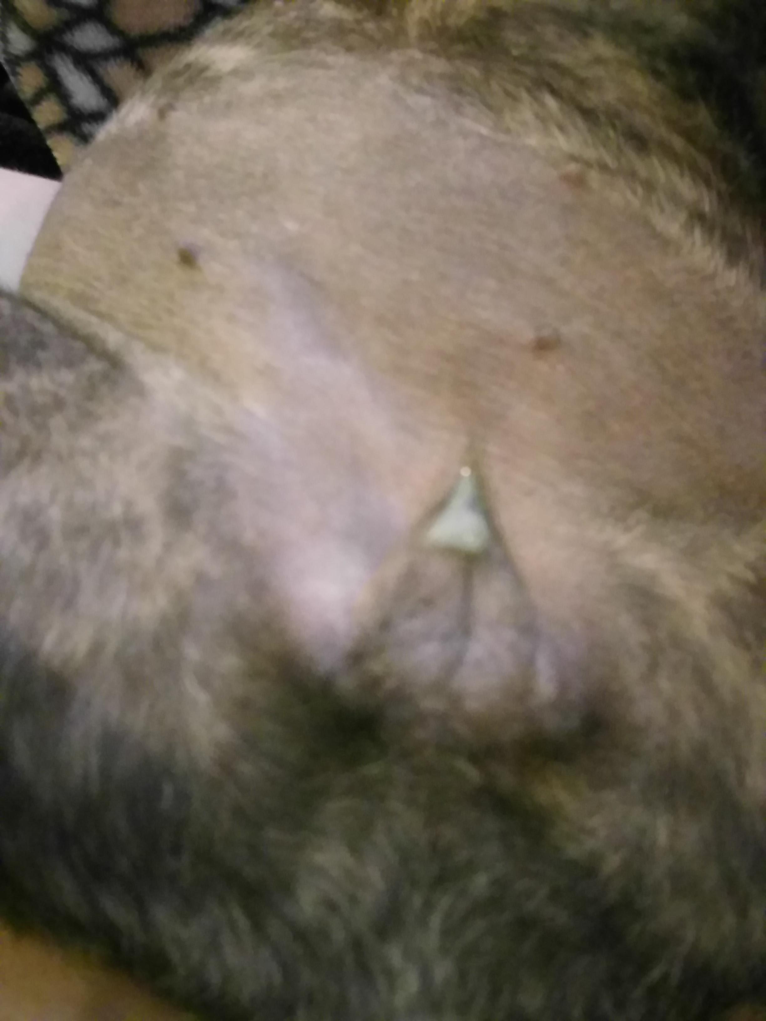 Question details sensitive content