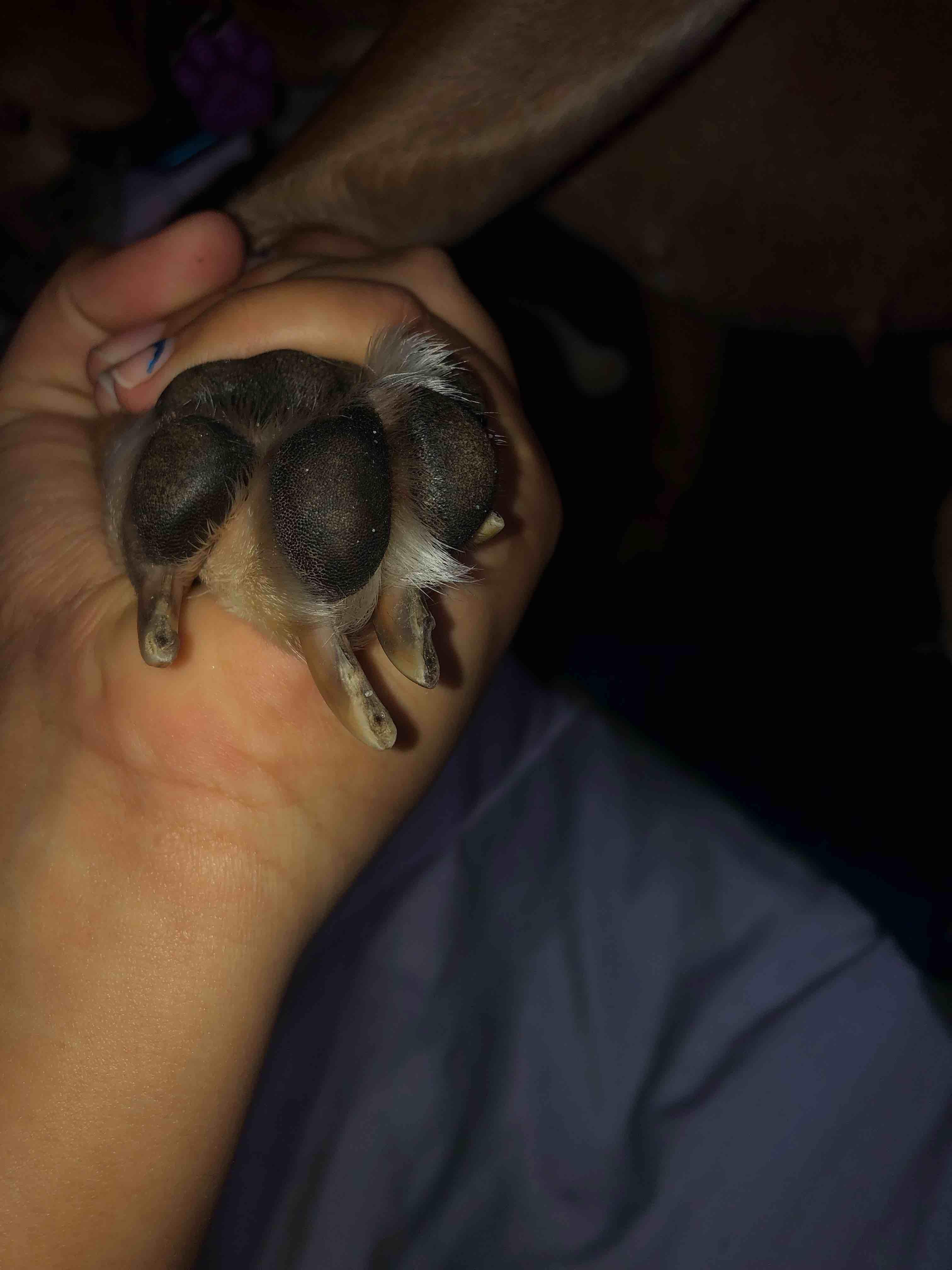 Question details sensitive content