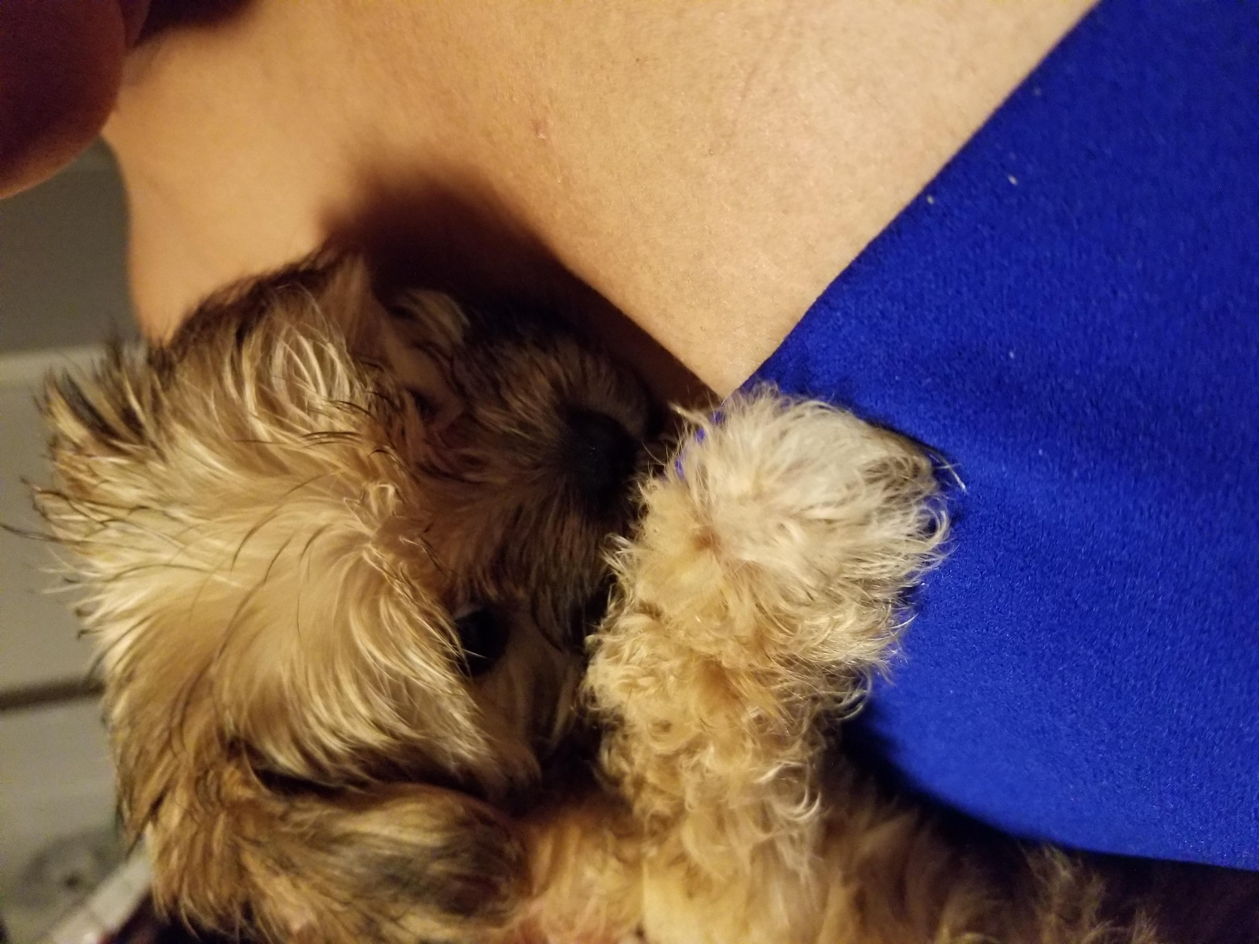 Question details sensitive content