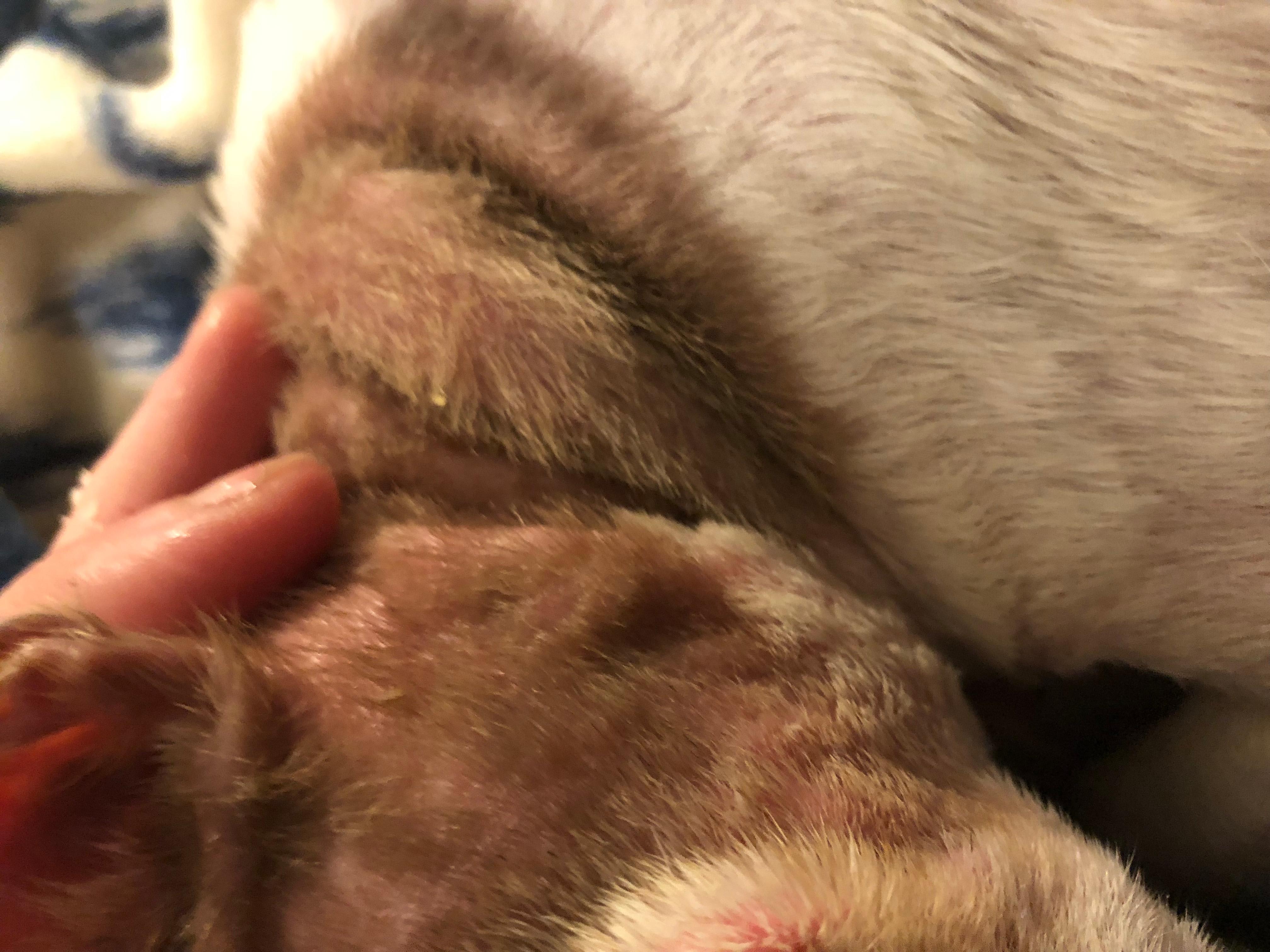 Question details sensitive content