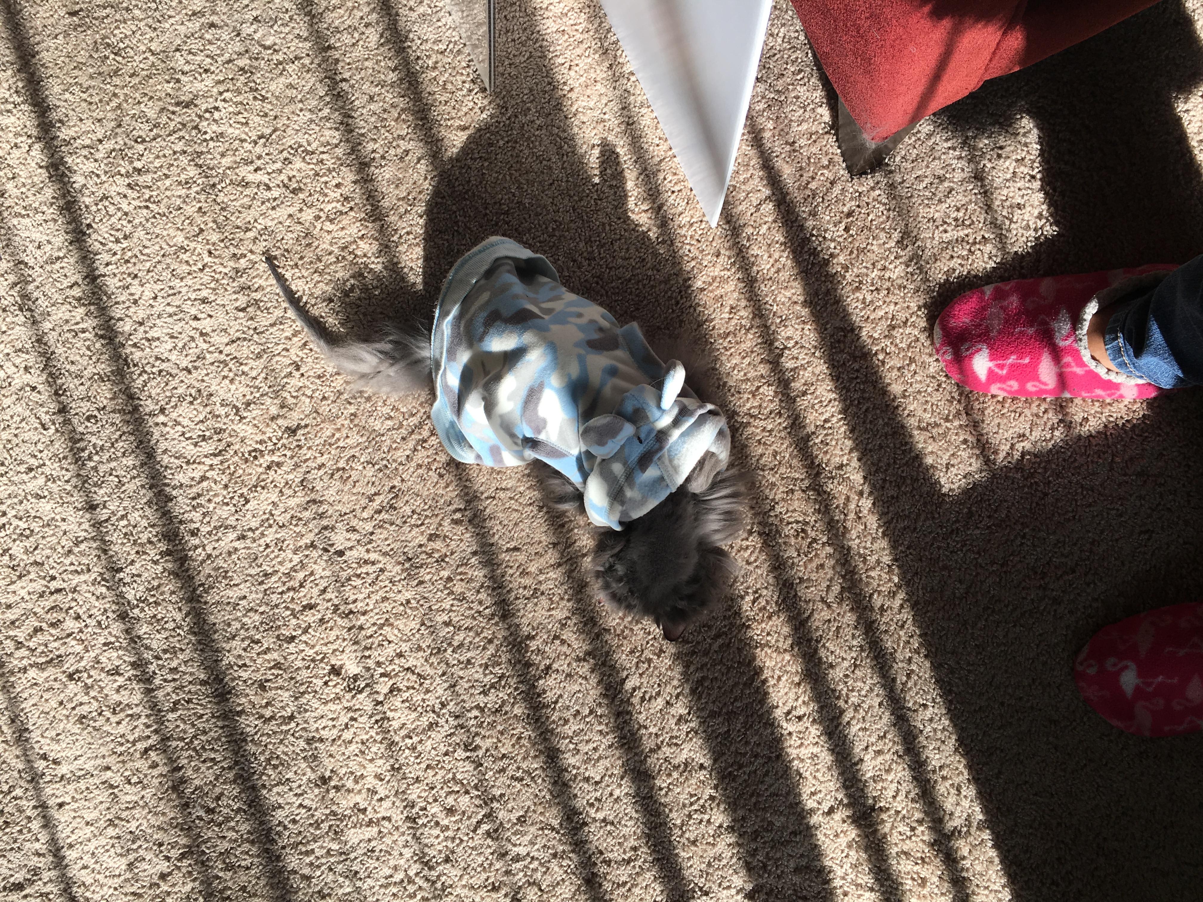 Question details sensitive content