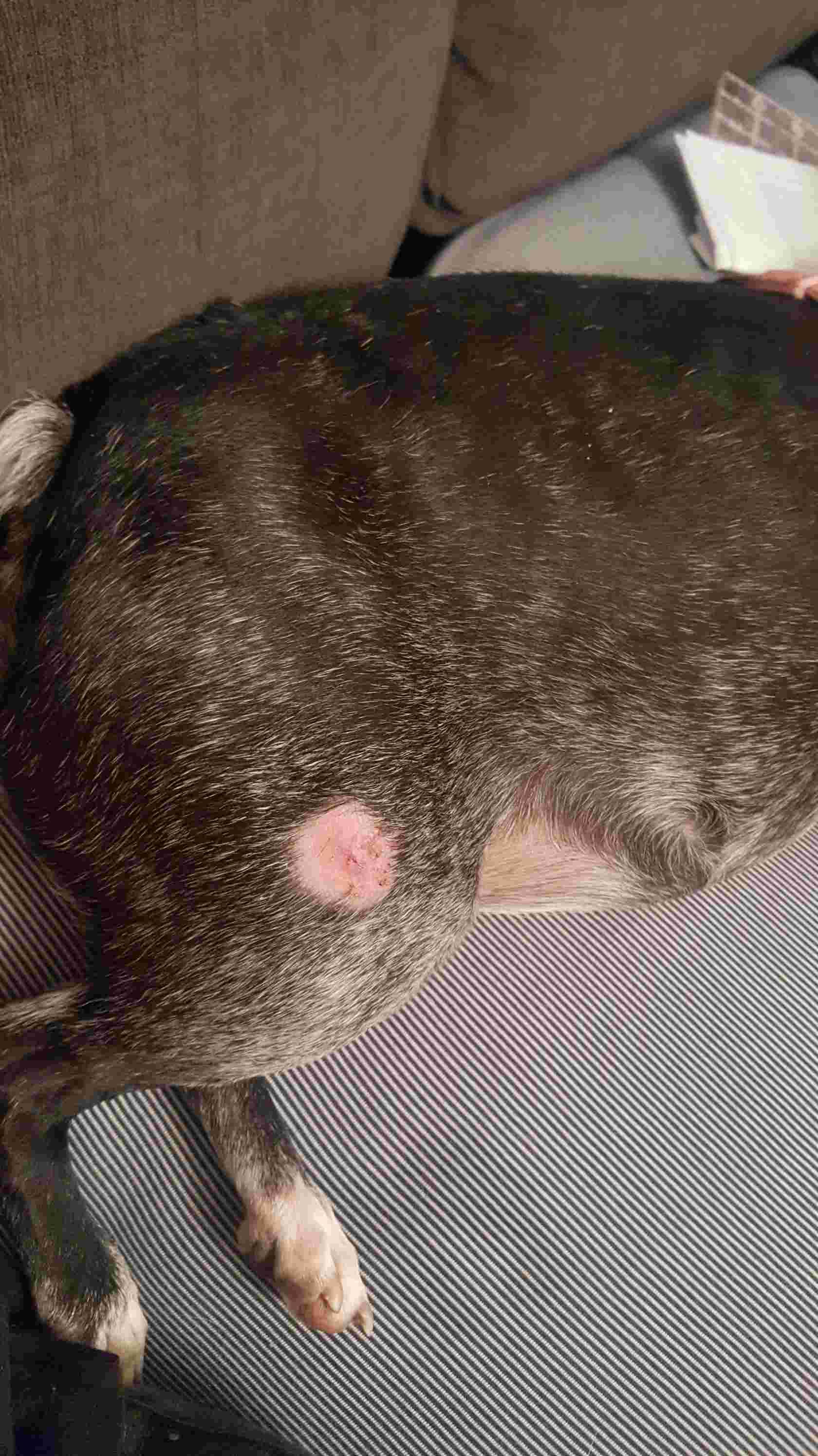 Question details sensitive content