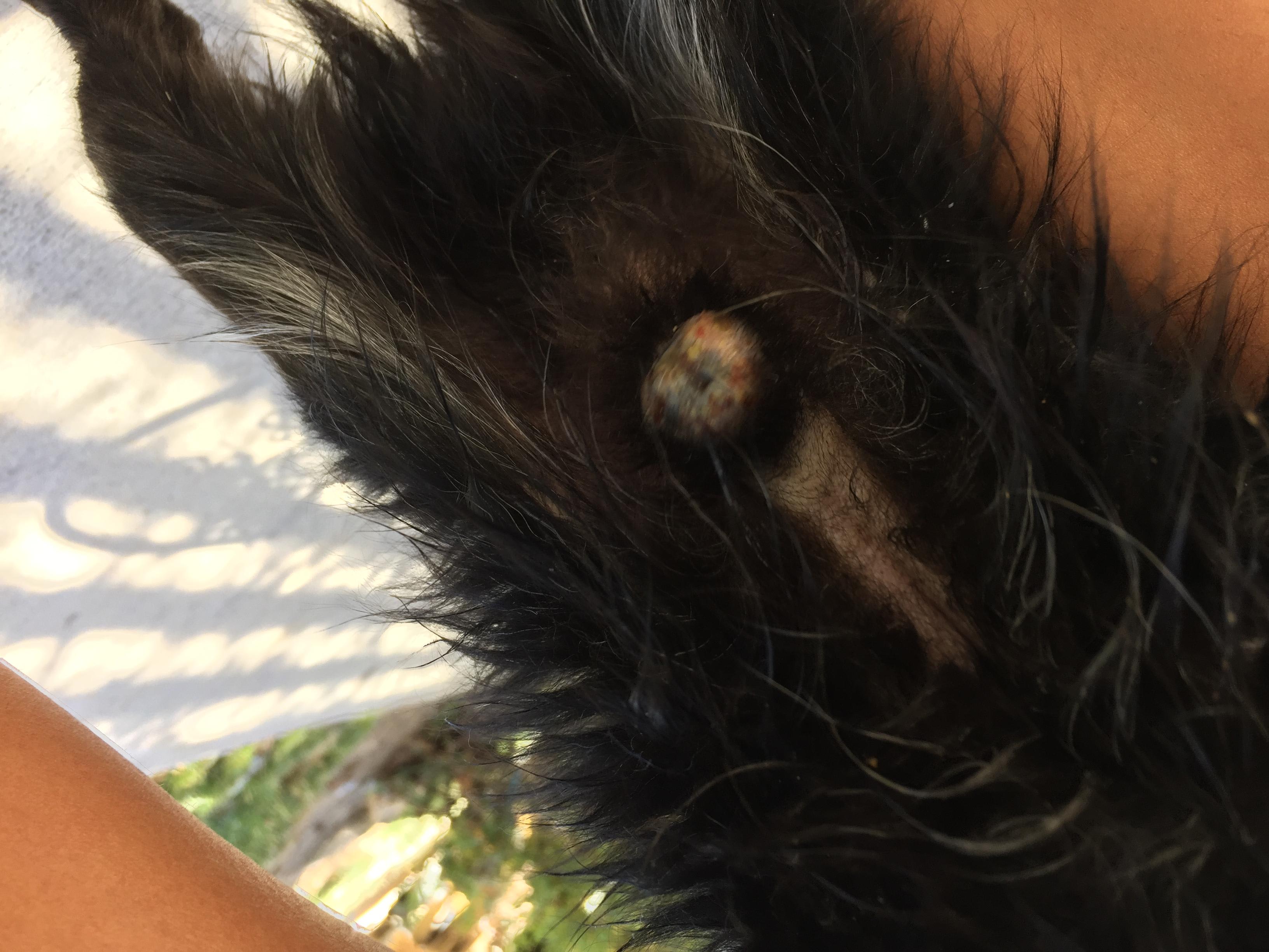 Question details sensitive content