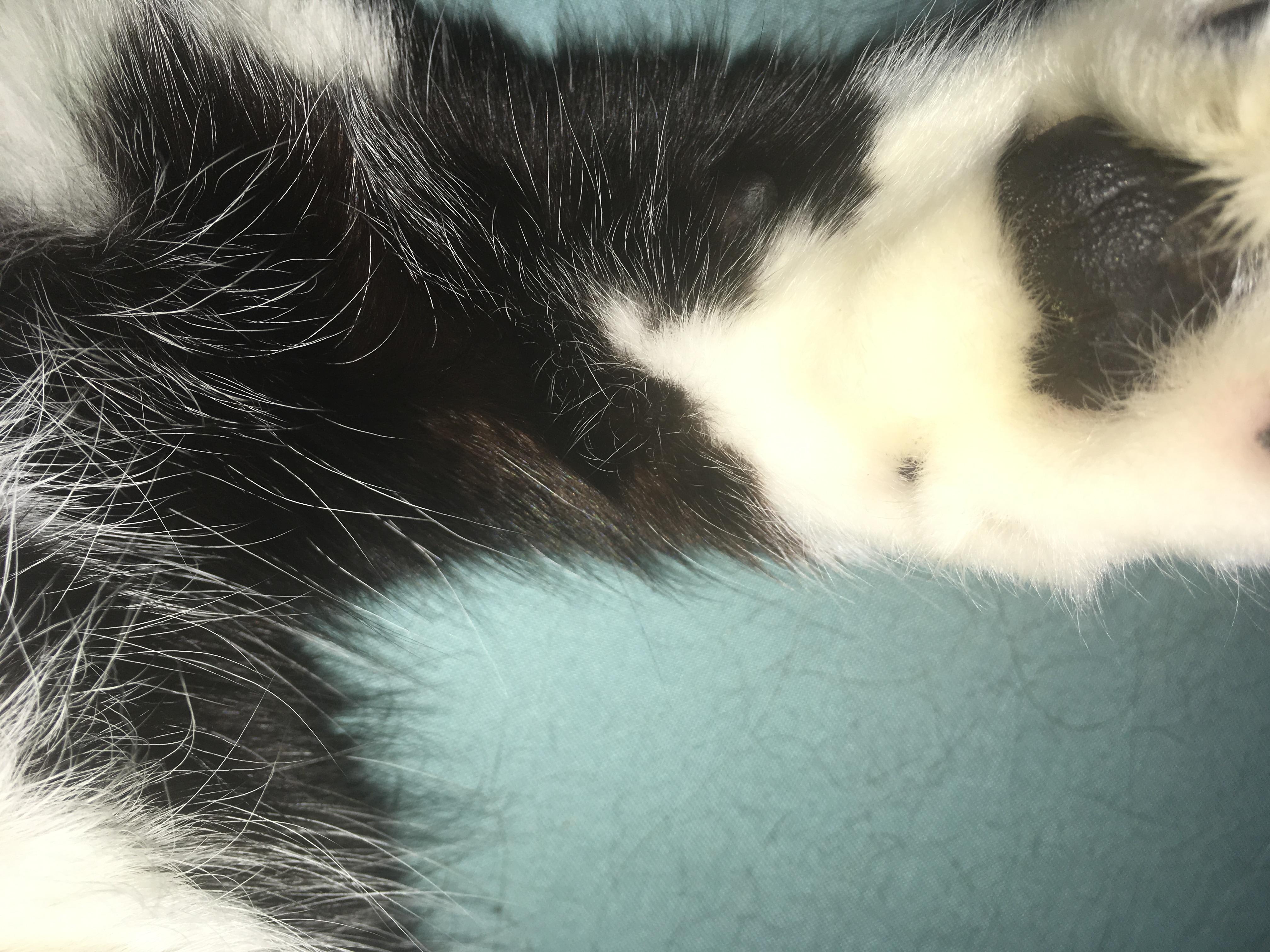 Question details sensitive content