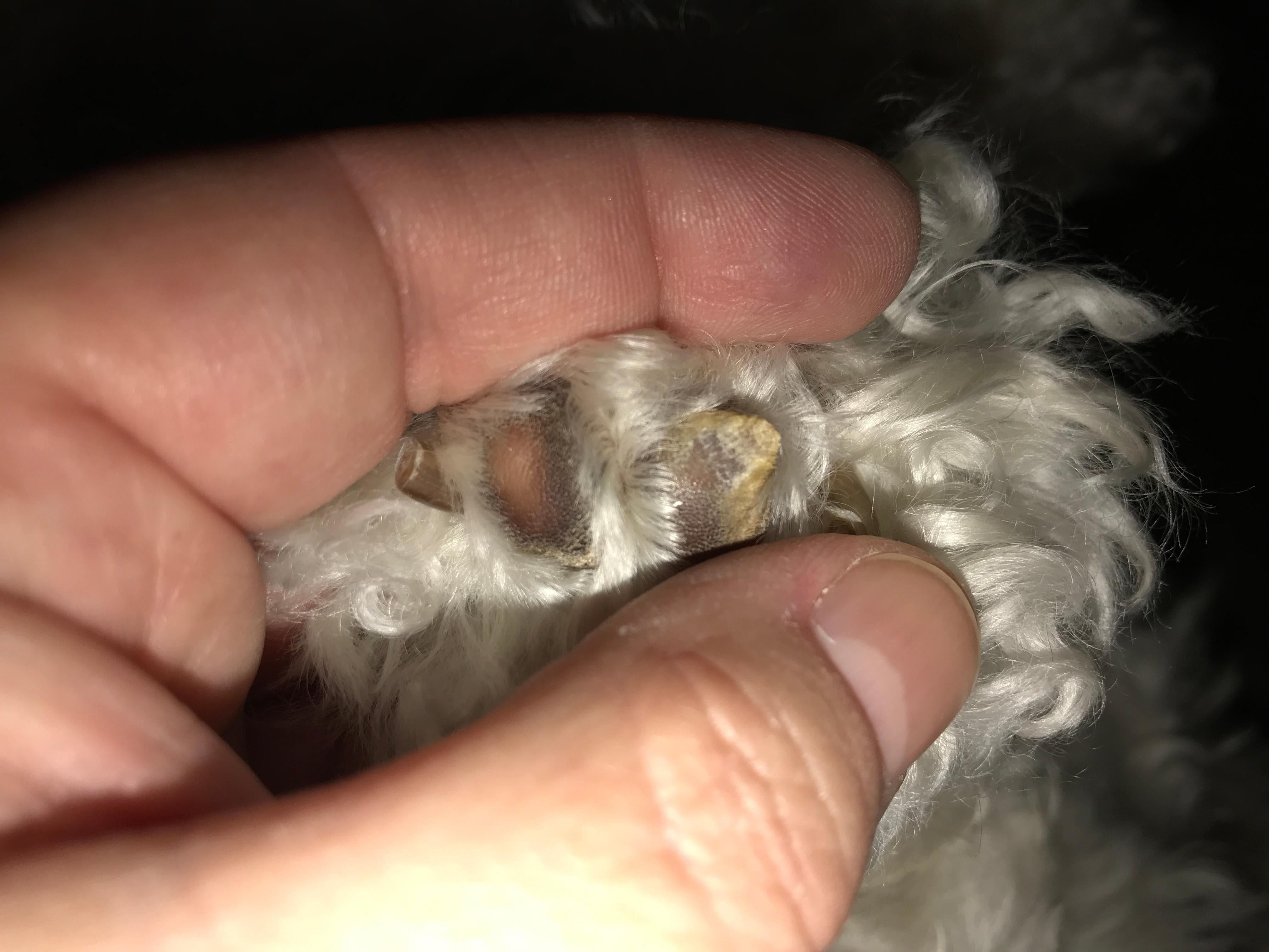 Question details sensitive content