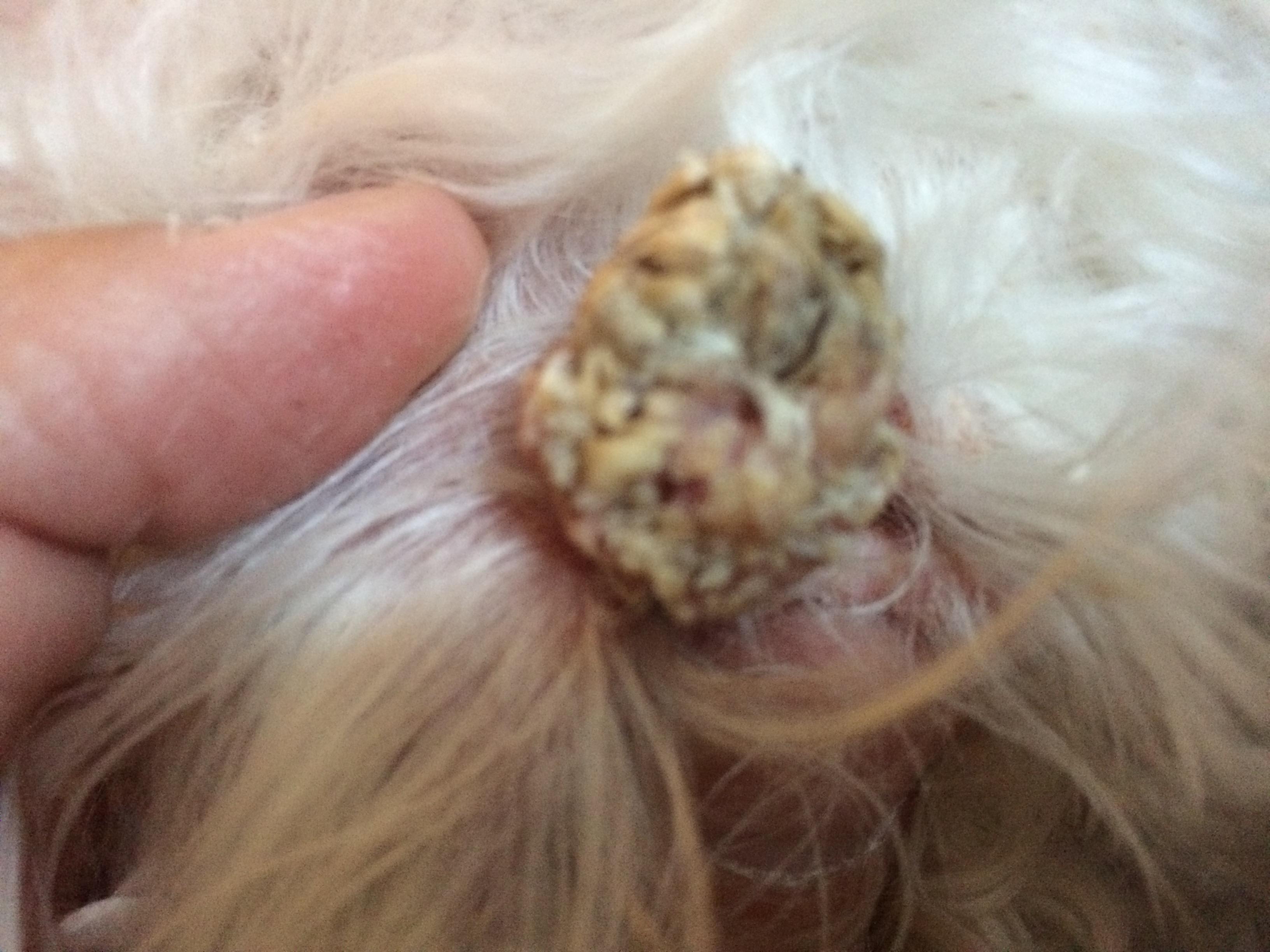 Question details sensitive content