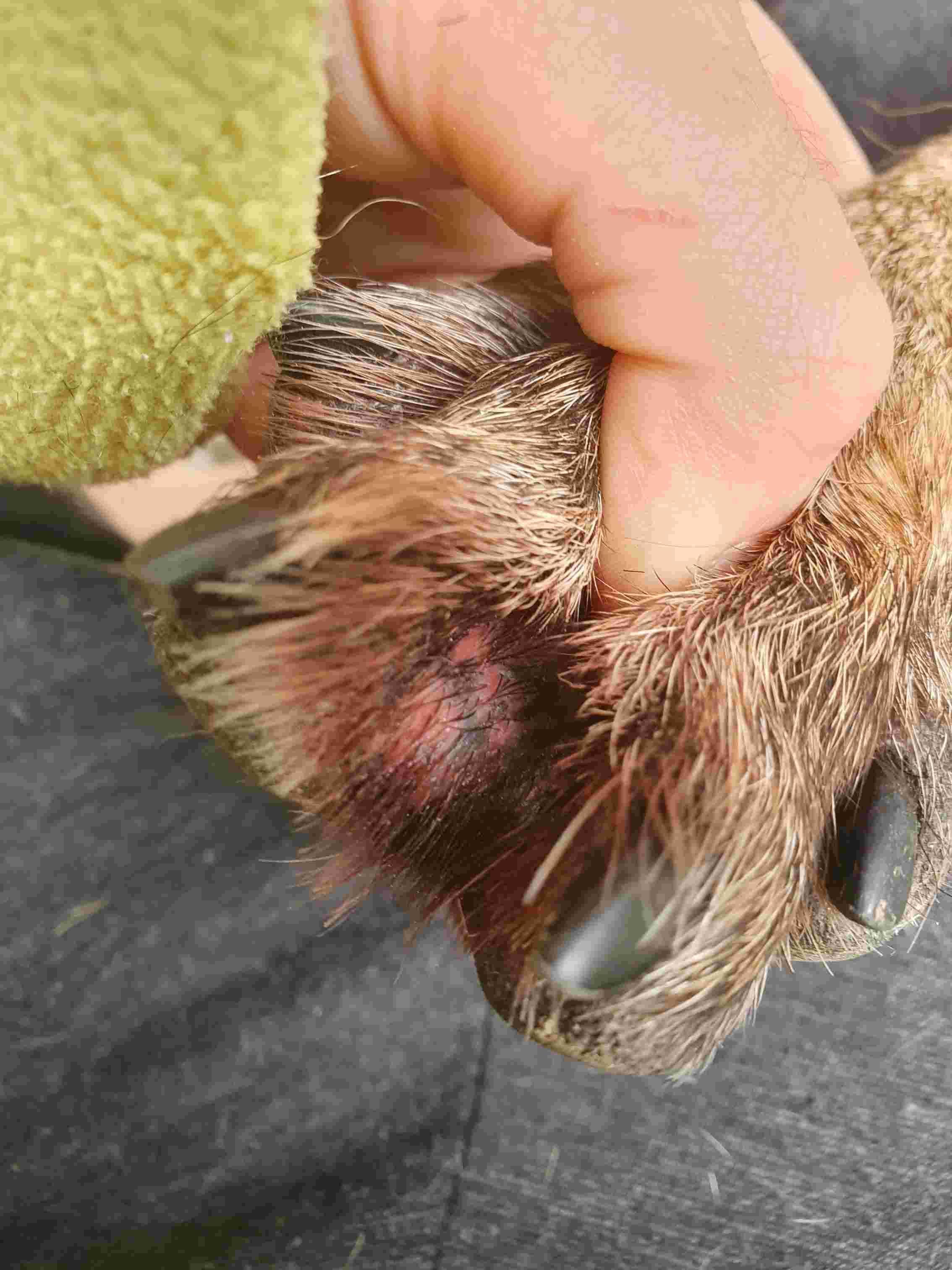 Question details sensitive content