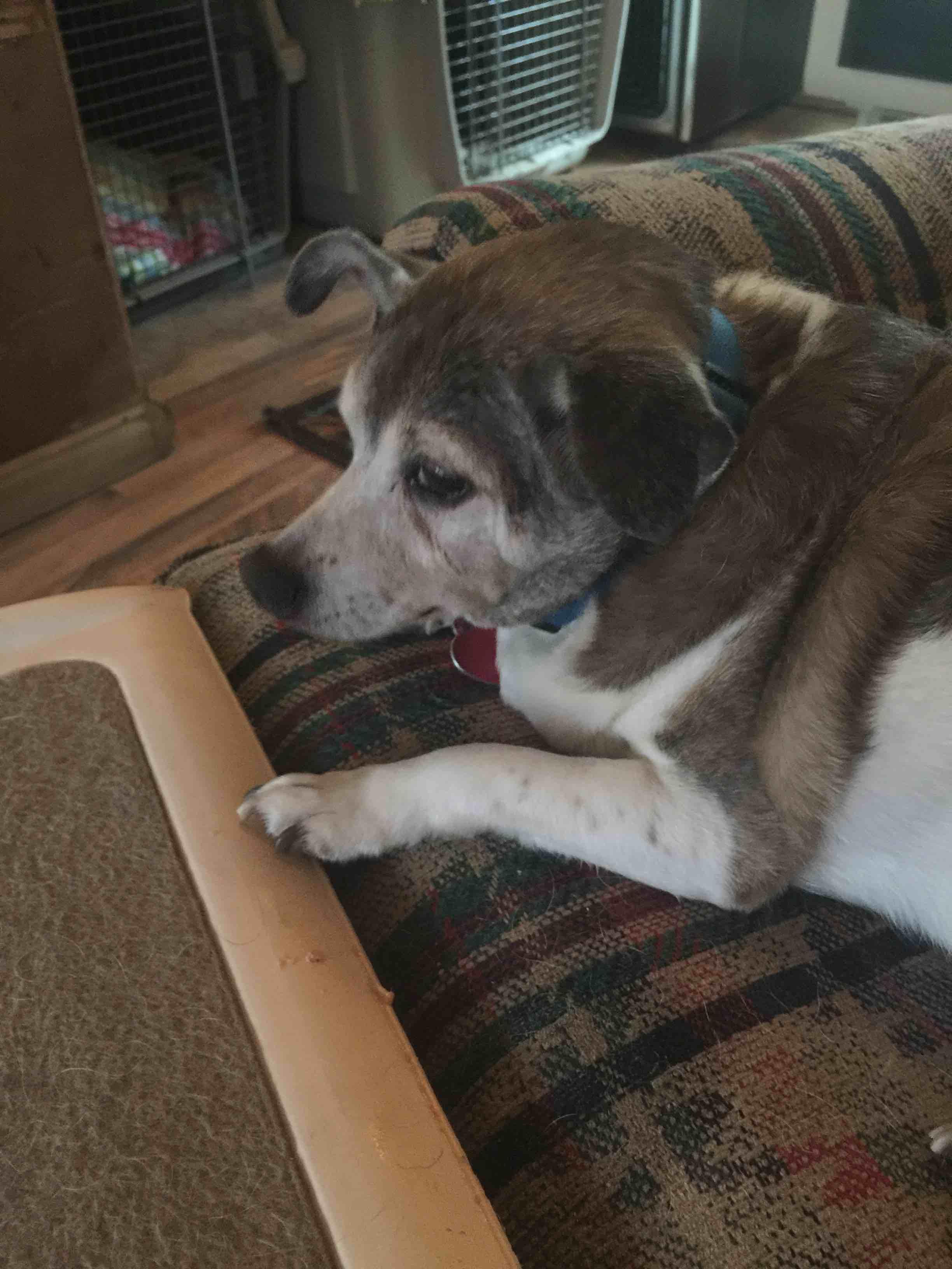 Question details sensitive content