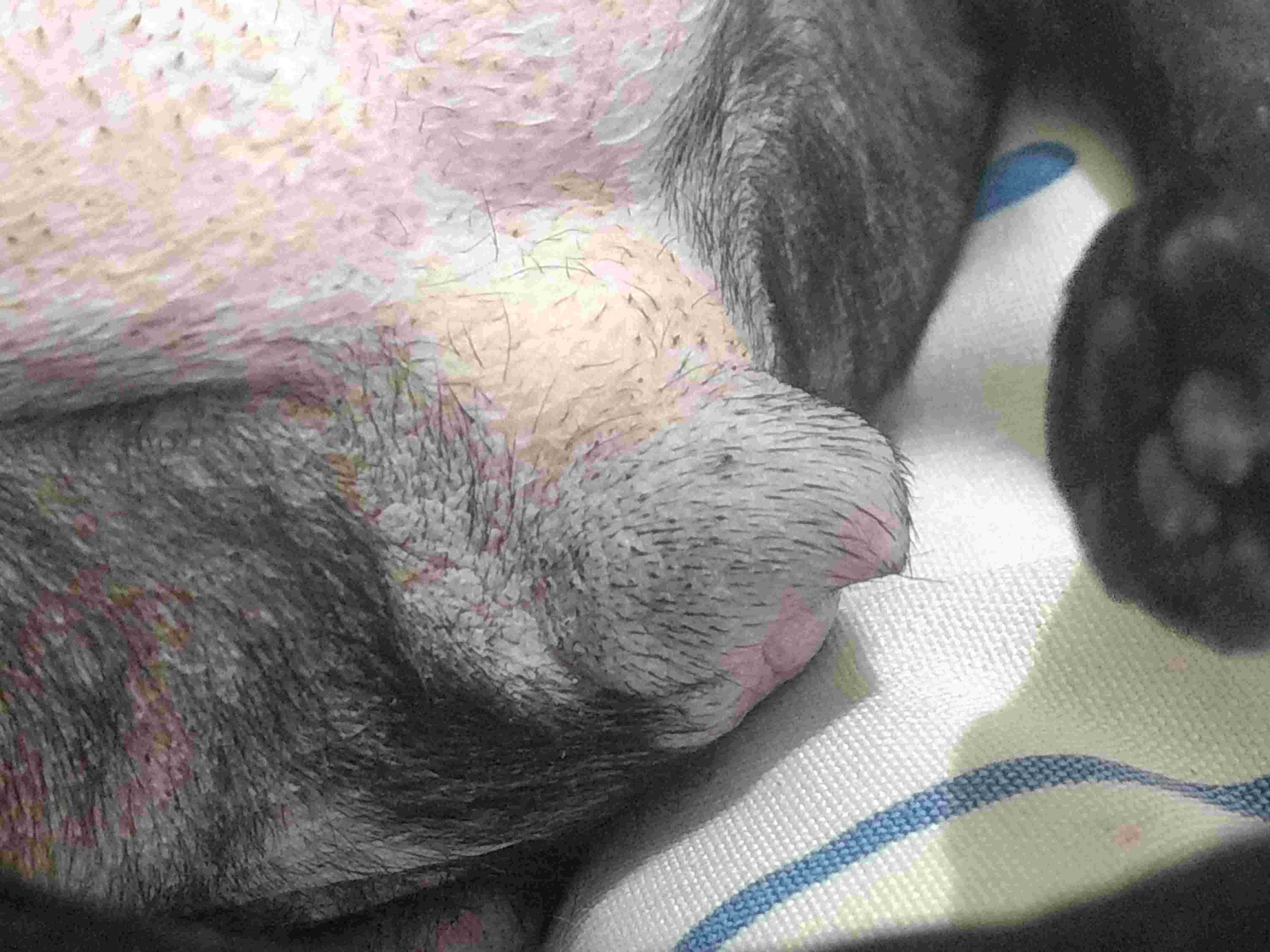 Question details sensitive content