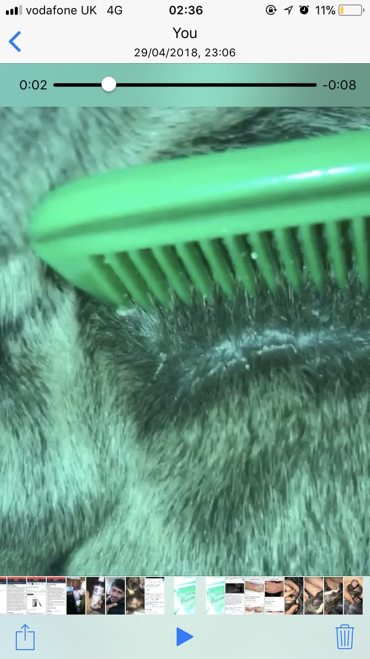 Question details sensitive content