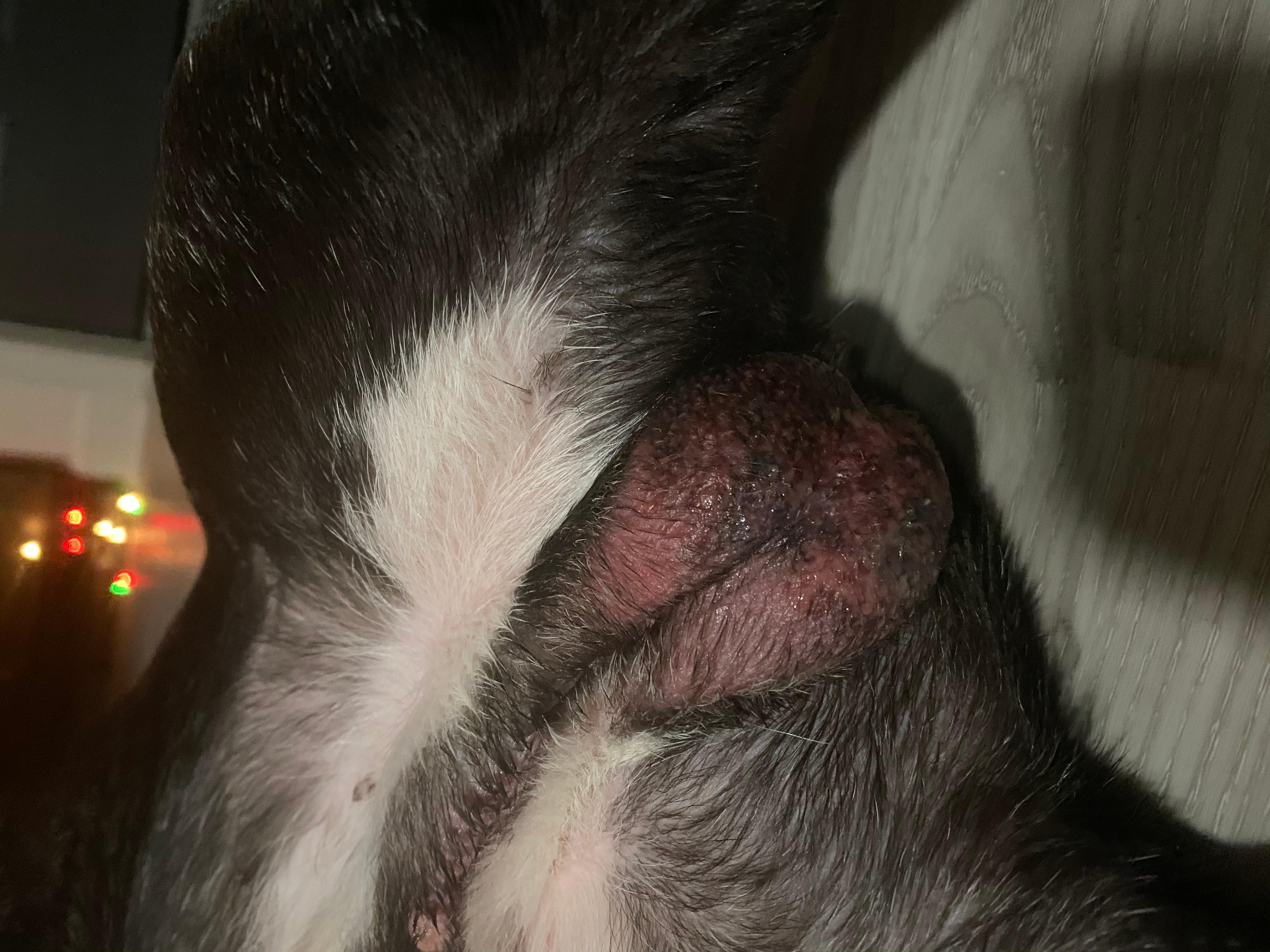 Question details sensitive content