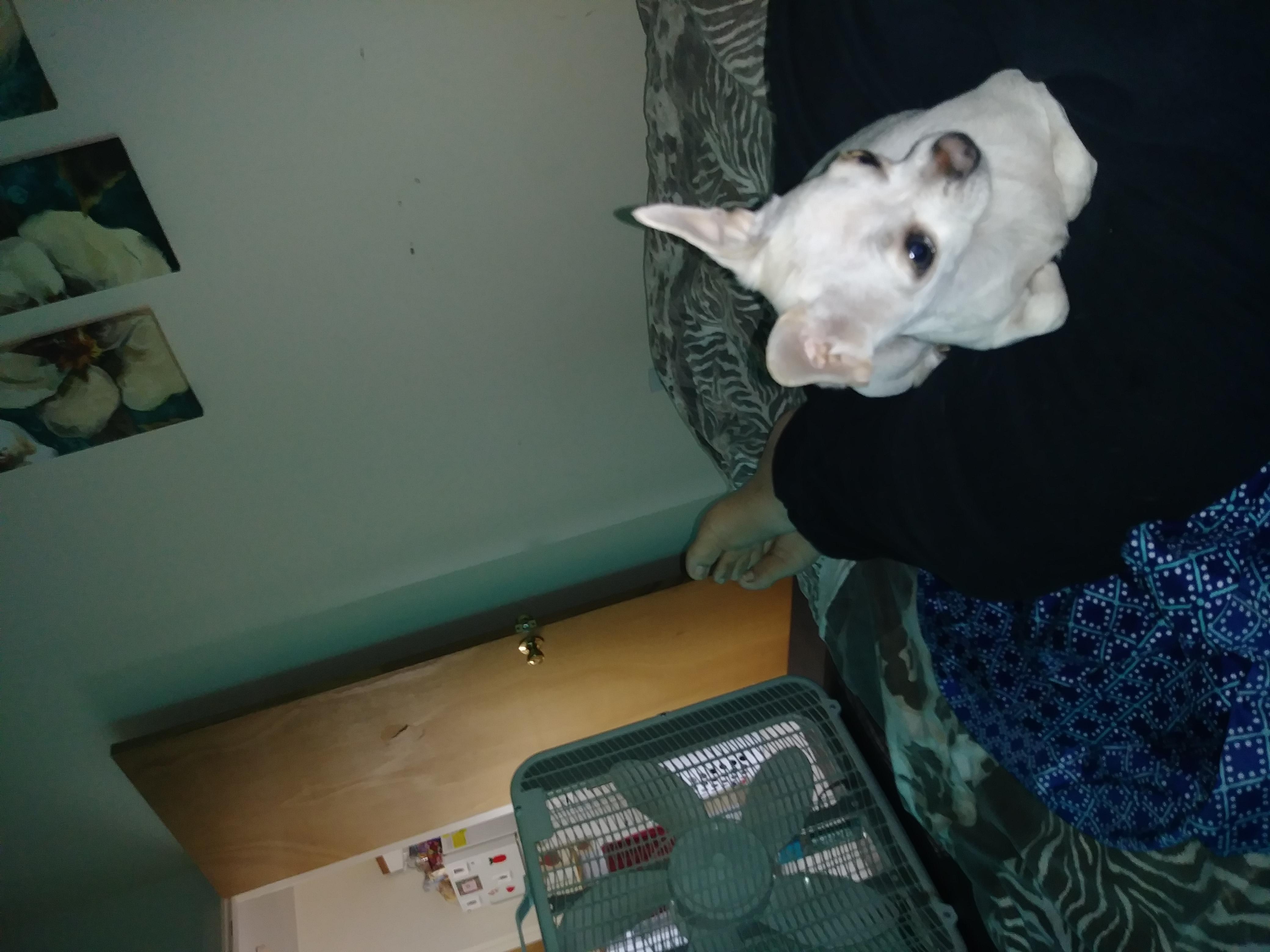 Question details sensitive content