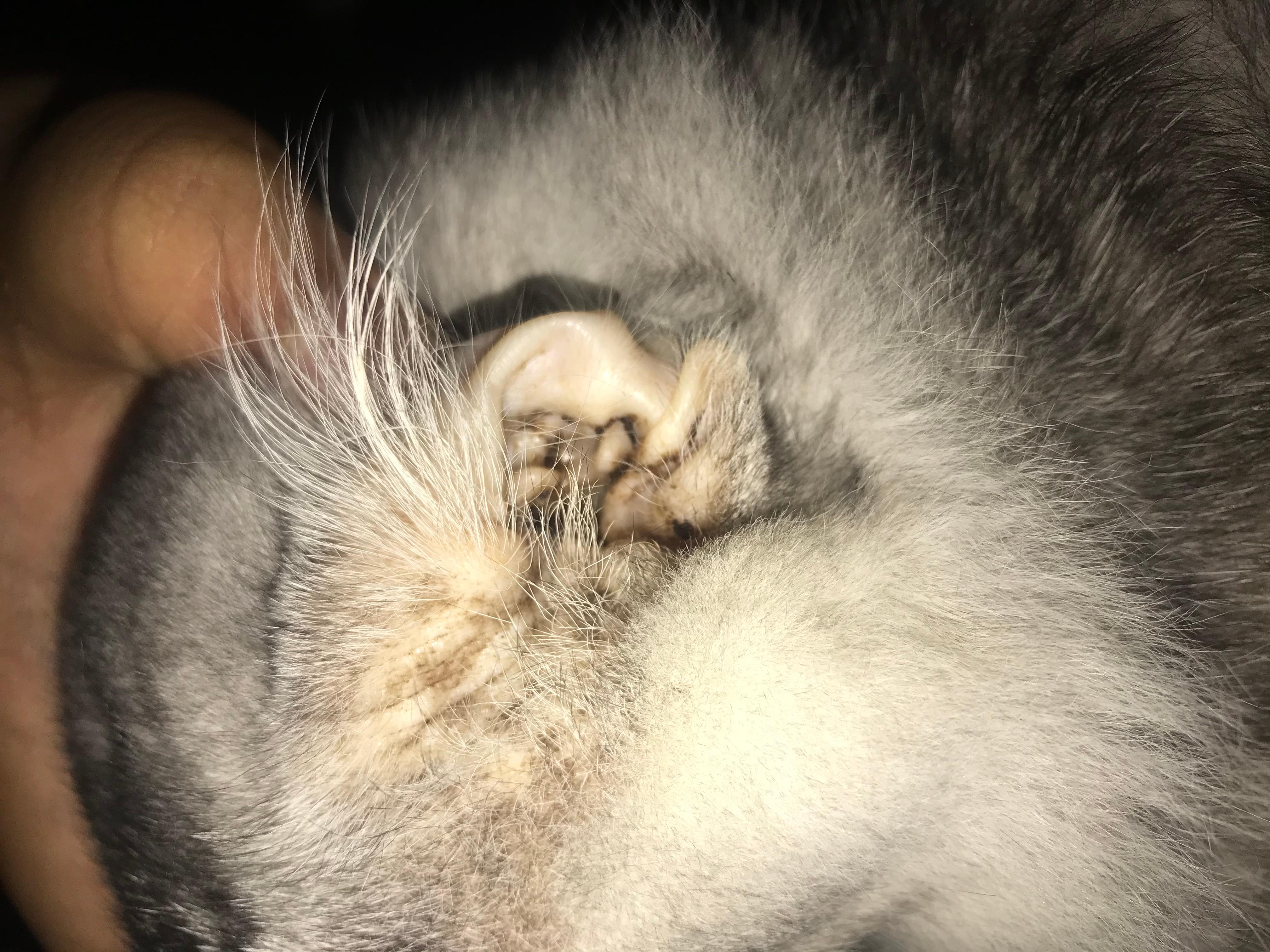 Question details sensitive content