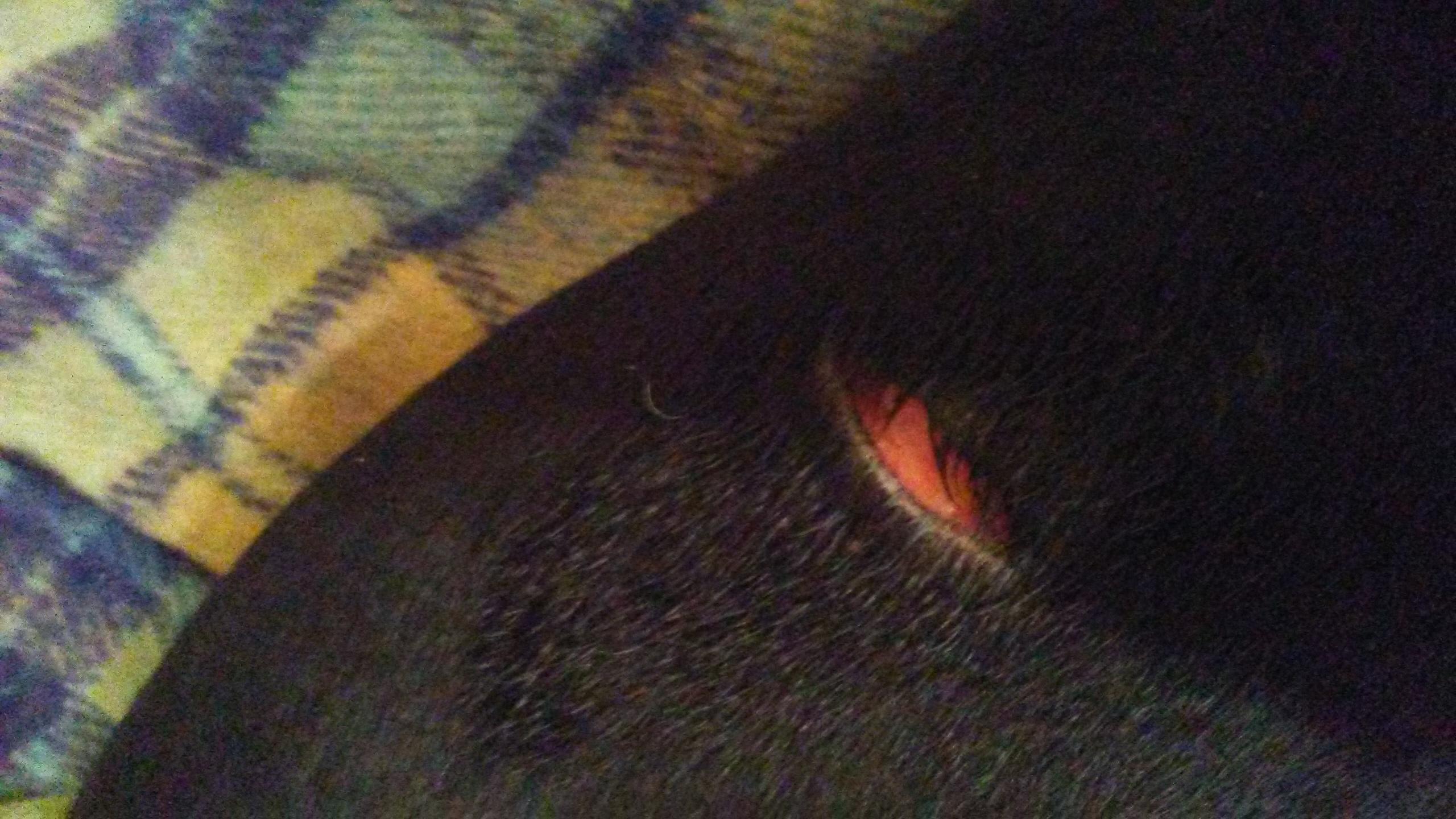 Question details sensitive content