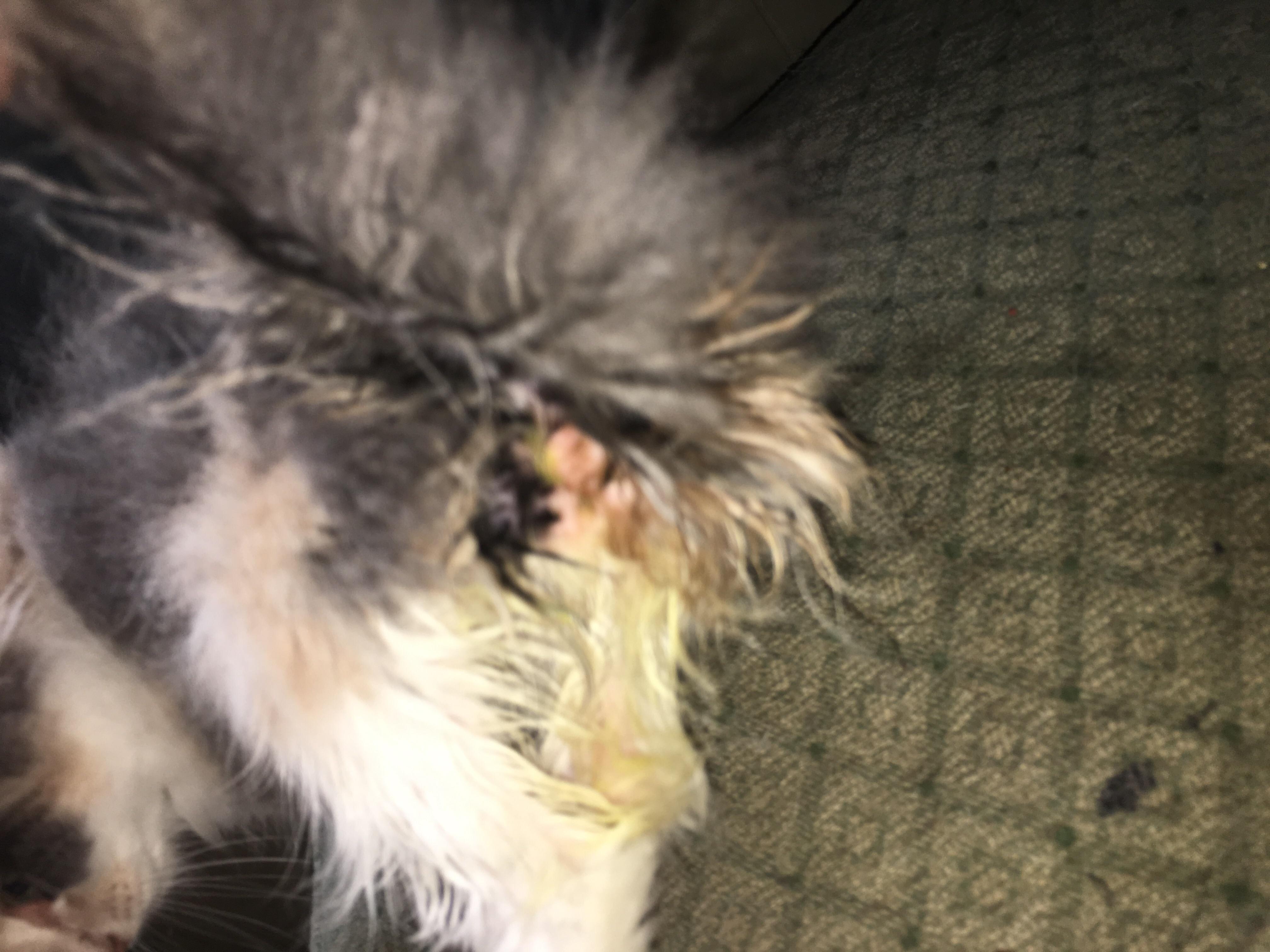 Question details sensitive content