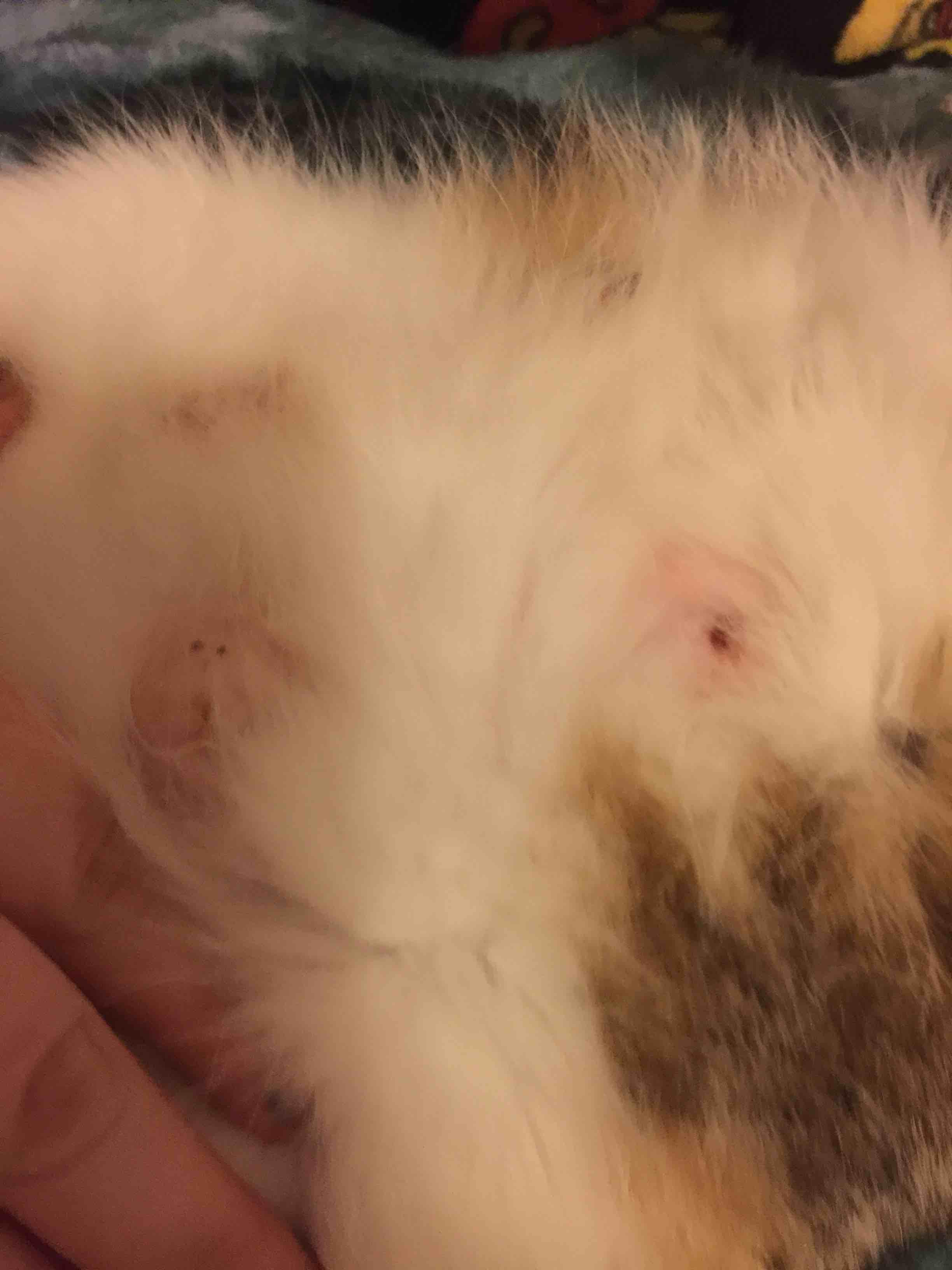 Question details sensitive content