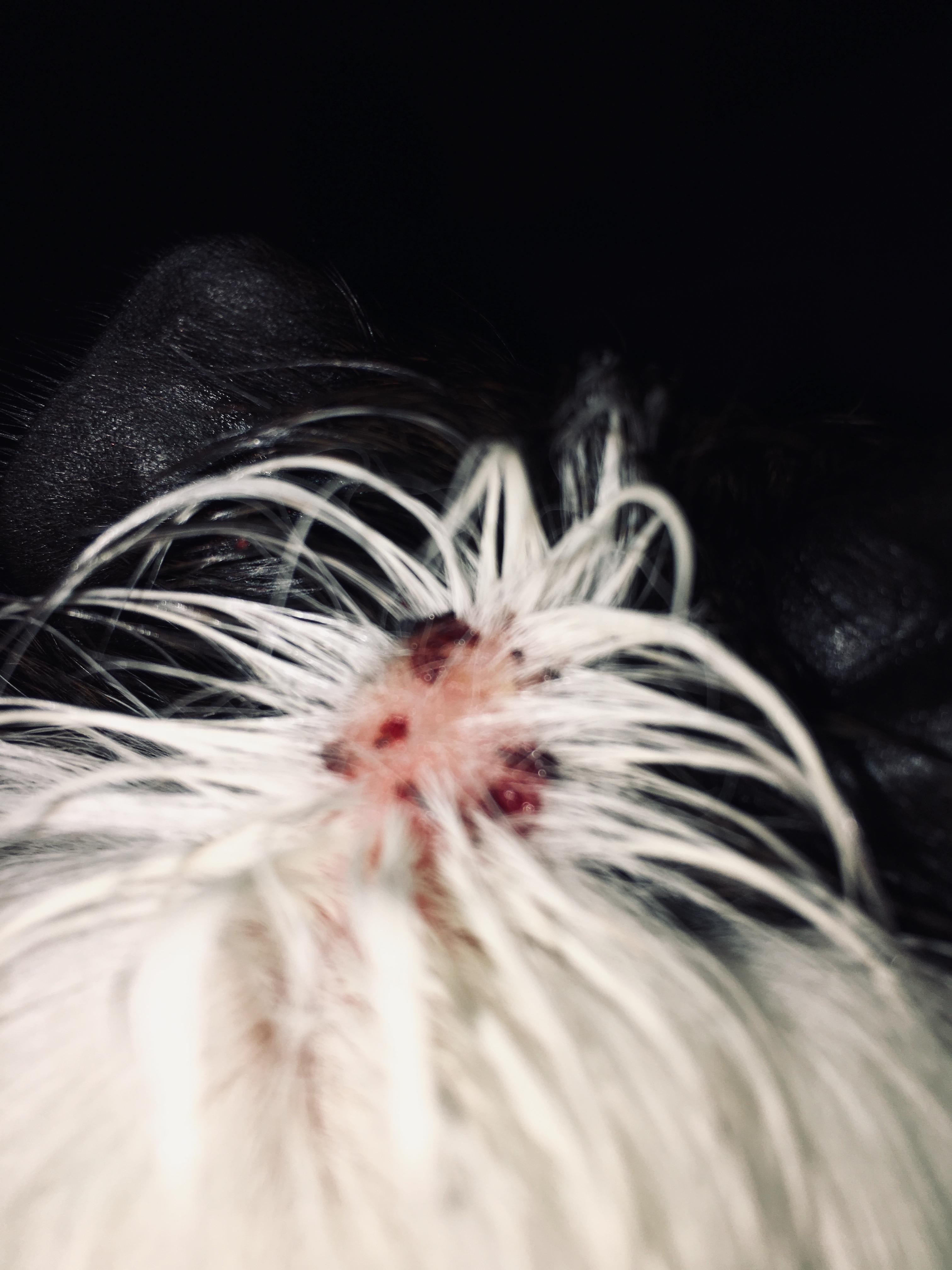 Question details sensitive content