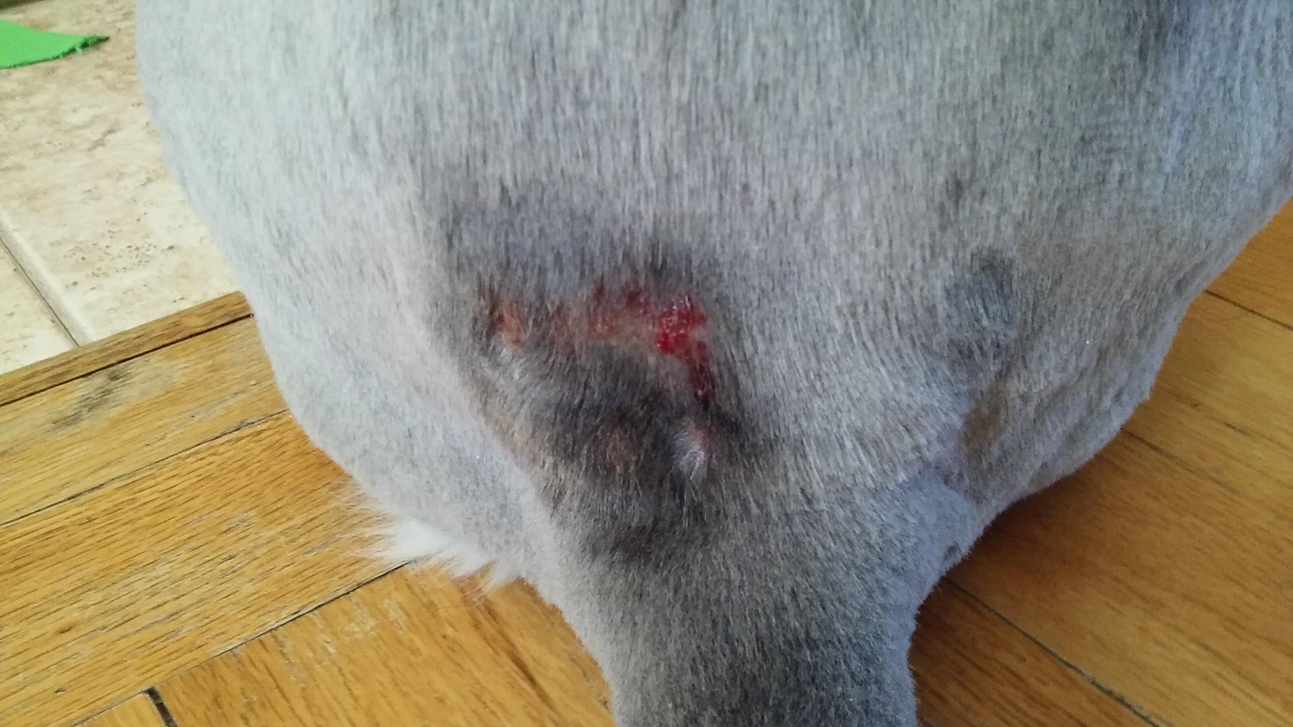 Question details sensitive content