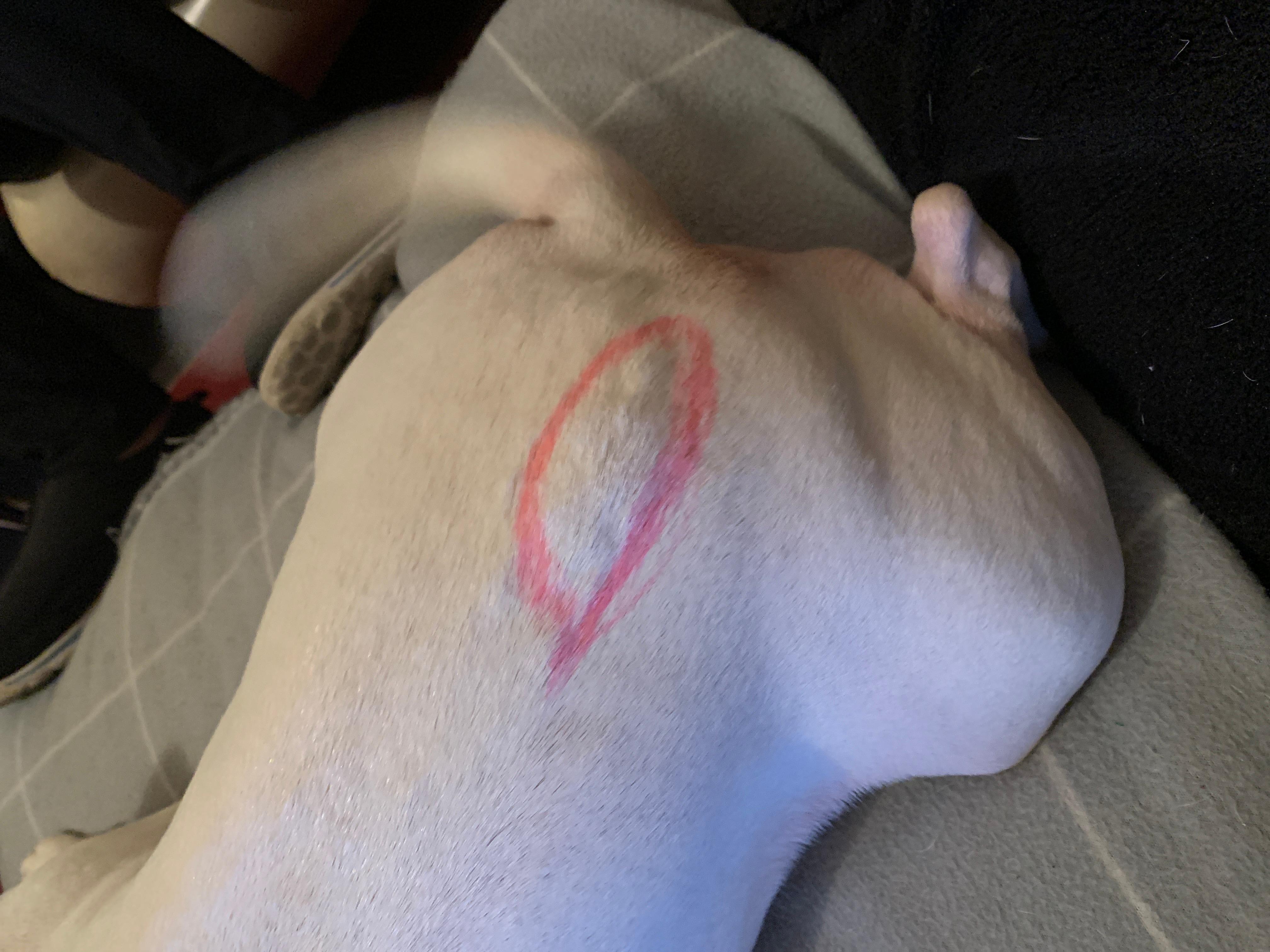 Question details sensitive content